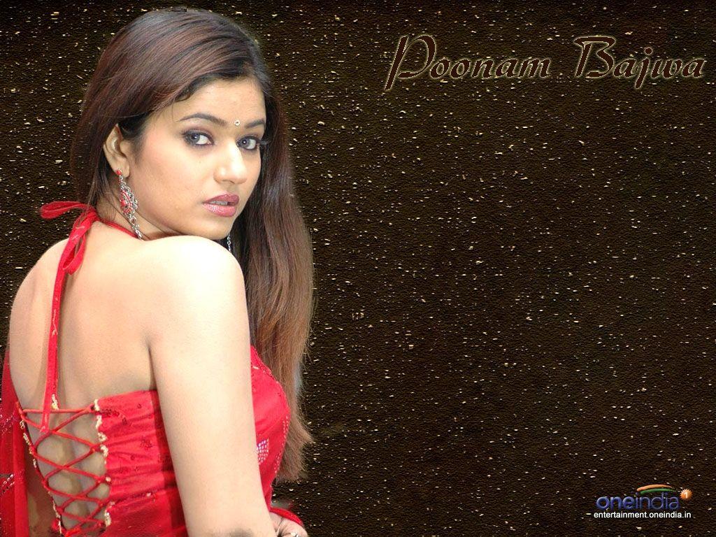 Poonam Bajwa Wallpapers Top Free Poonam Bajwa Backgrounds