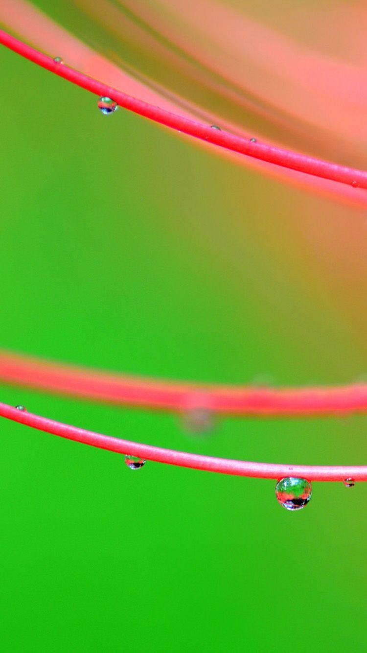 Pink and Green Wallpapers Top Free Pink and Green Backgrounds