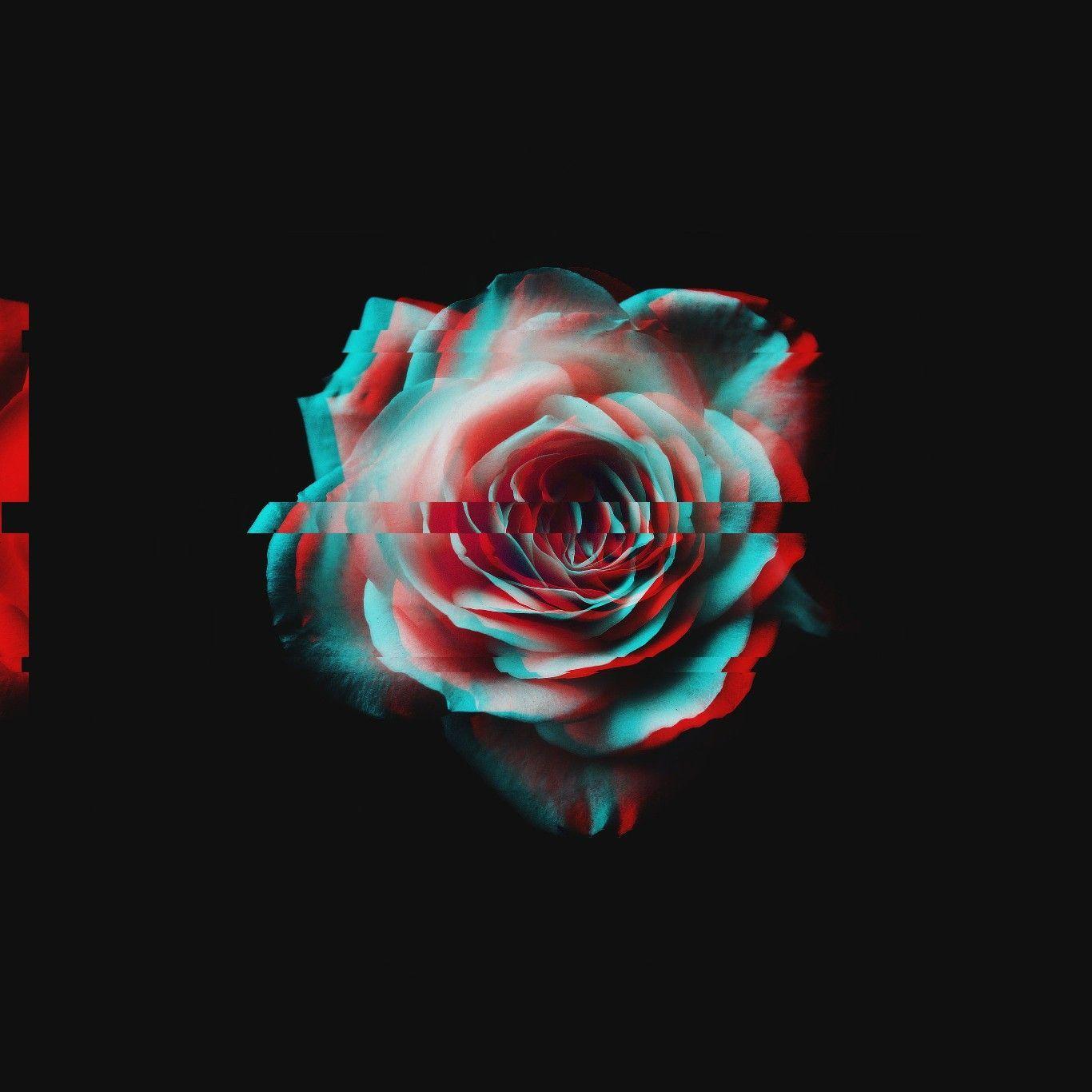 Rose Glitch Wallpapers Top Free Rose Glitch Backgrounds WallpaperAccess