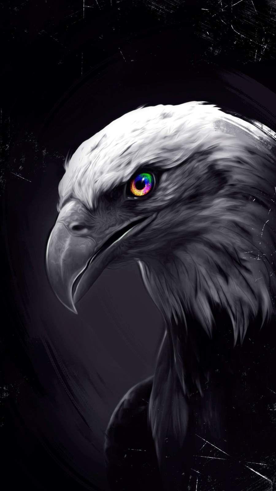 Dark Eagle Wallpapers Top Free Dark Eagle Backgrounds WallpaperAccess