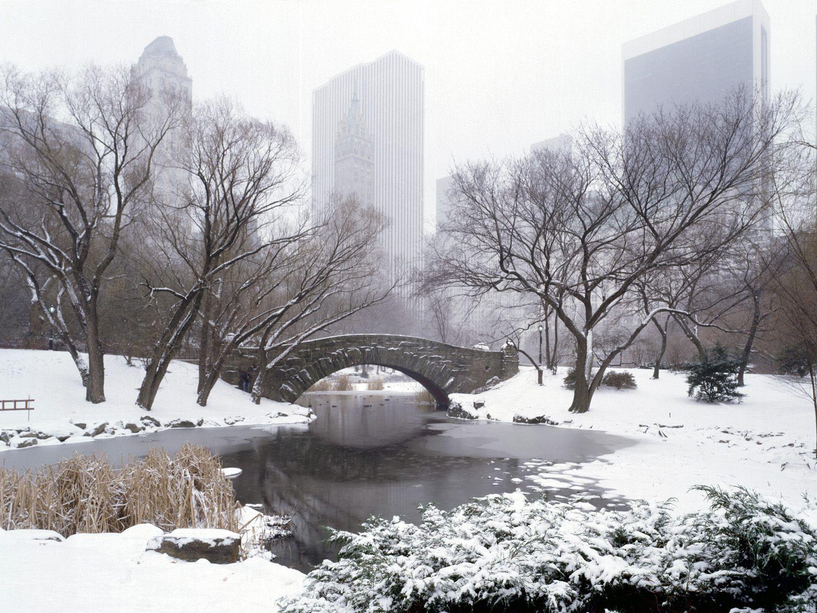 Central Park Snow Wallpapers Top Free Central Park Snow Backgrounds WallpaperAccess