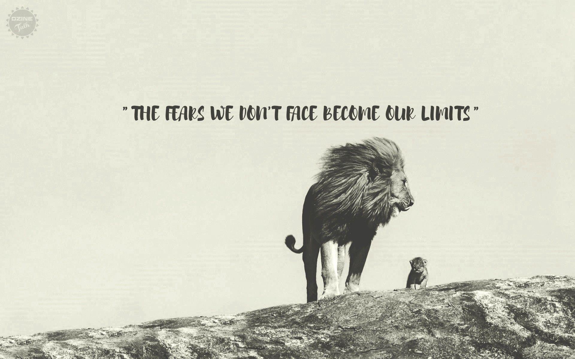 Lion Motivation Wallpapers Top Free Lion Motivation Backgrounds