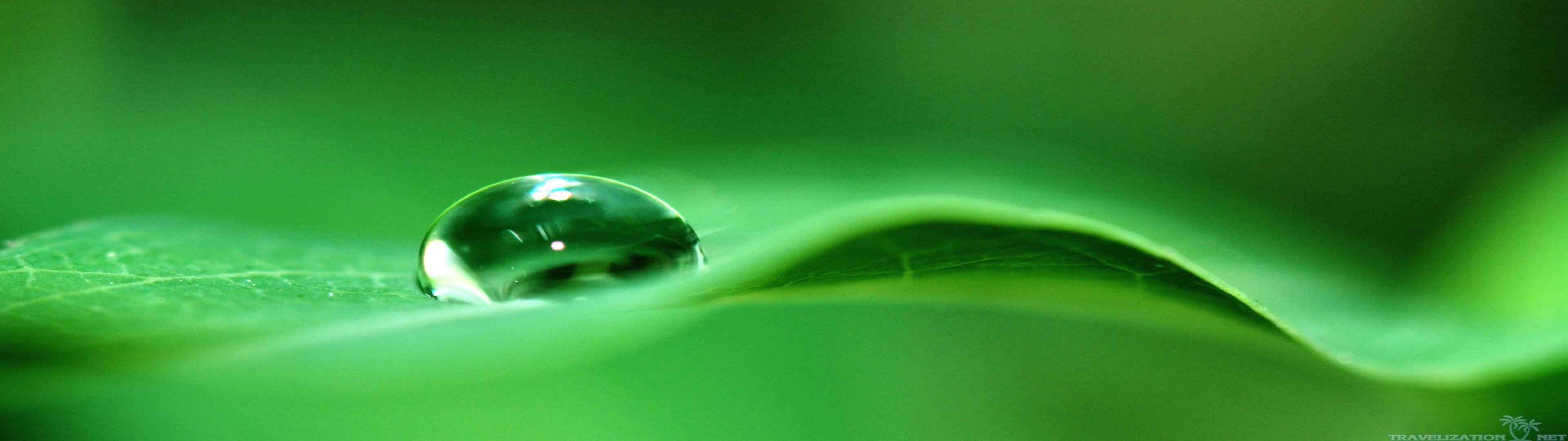 Green Screen Wallpapers Top Free Green Screen Backgrounds