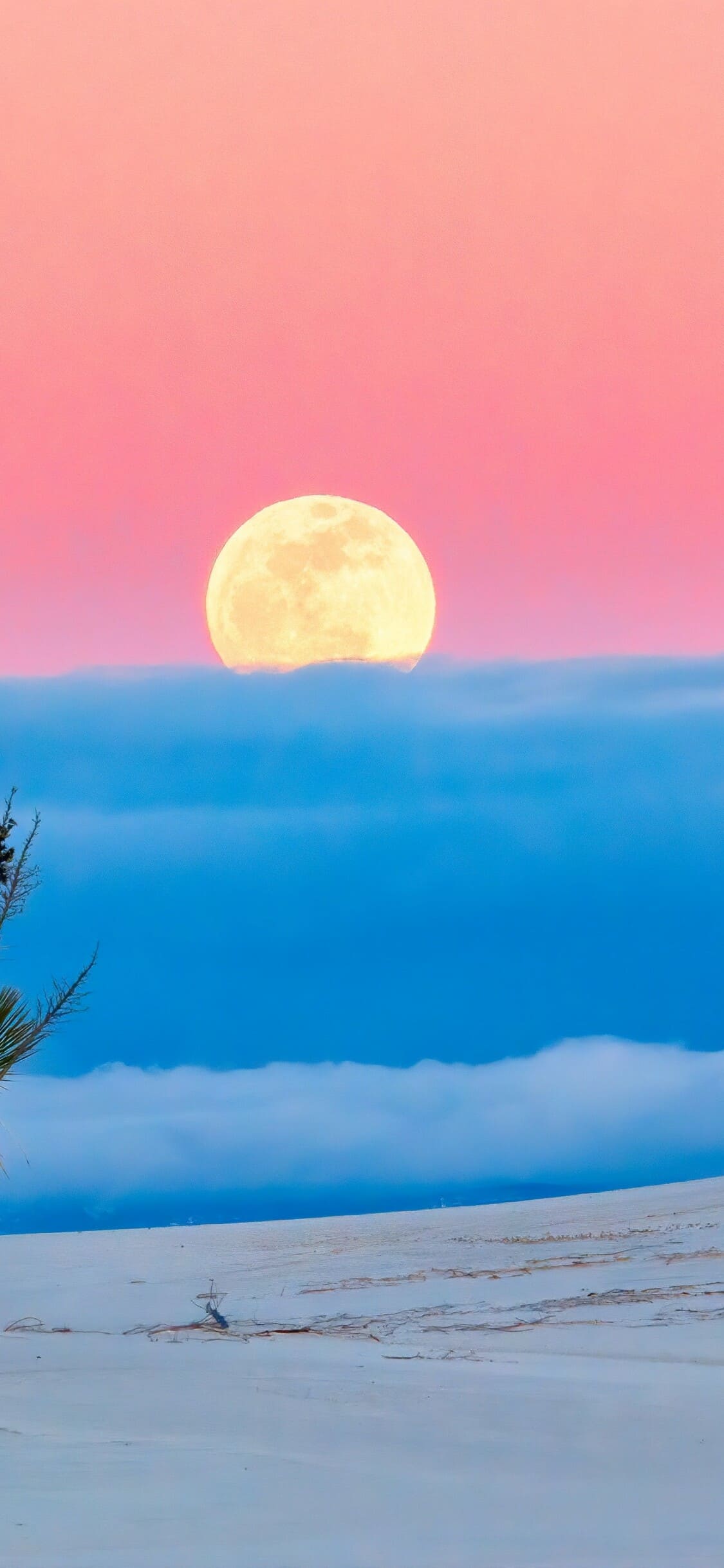 Cool Nature HD iPhone Wallpapers Top Free Cool Nature HD iPhone