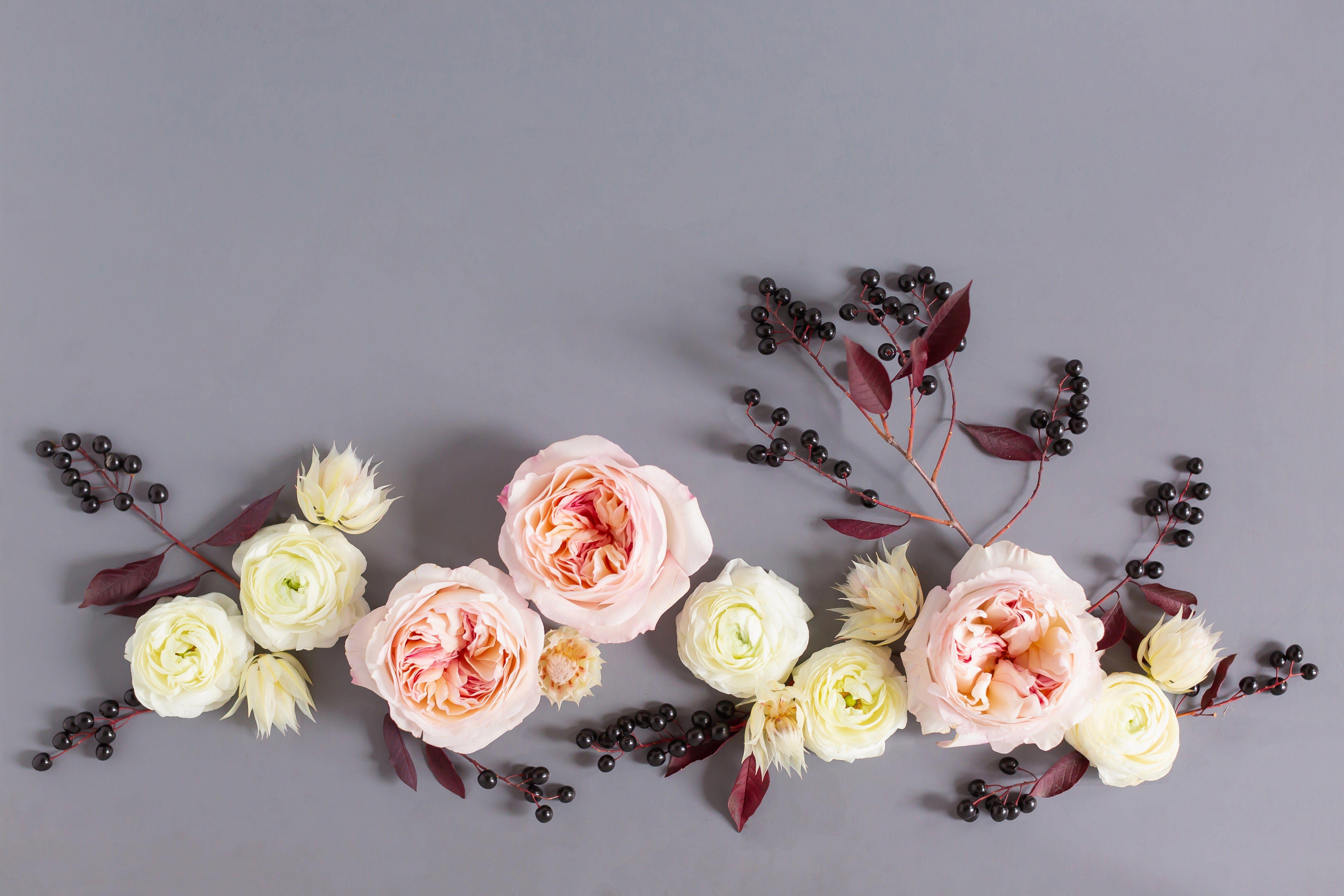 Black Floral Desktop Wallpapers Top Free Black Floral Desktop