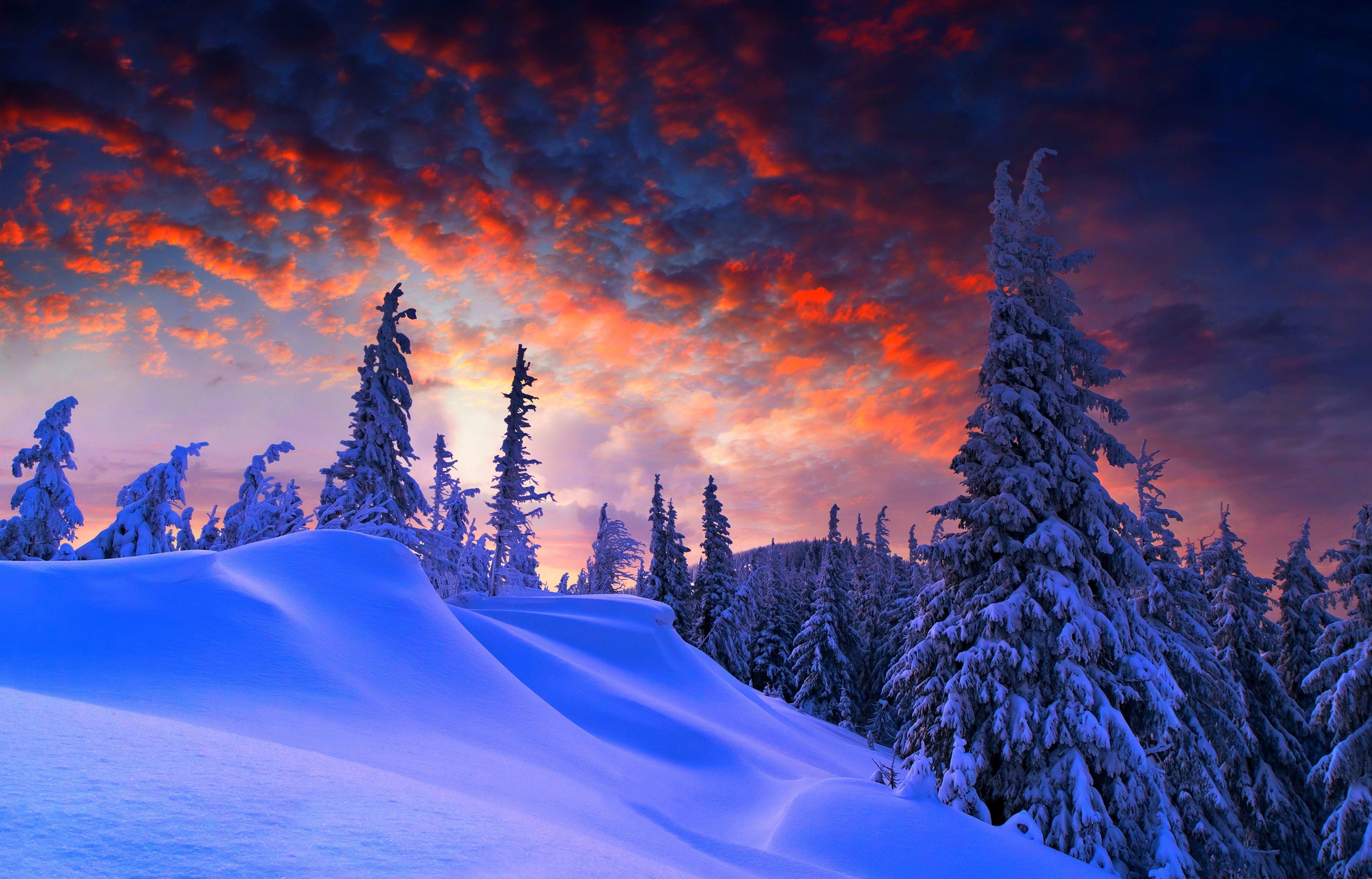 Winter Snow 4K Wallpapers Top Free Winter Snow 4K Backgrounds