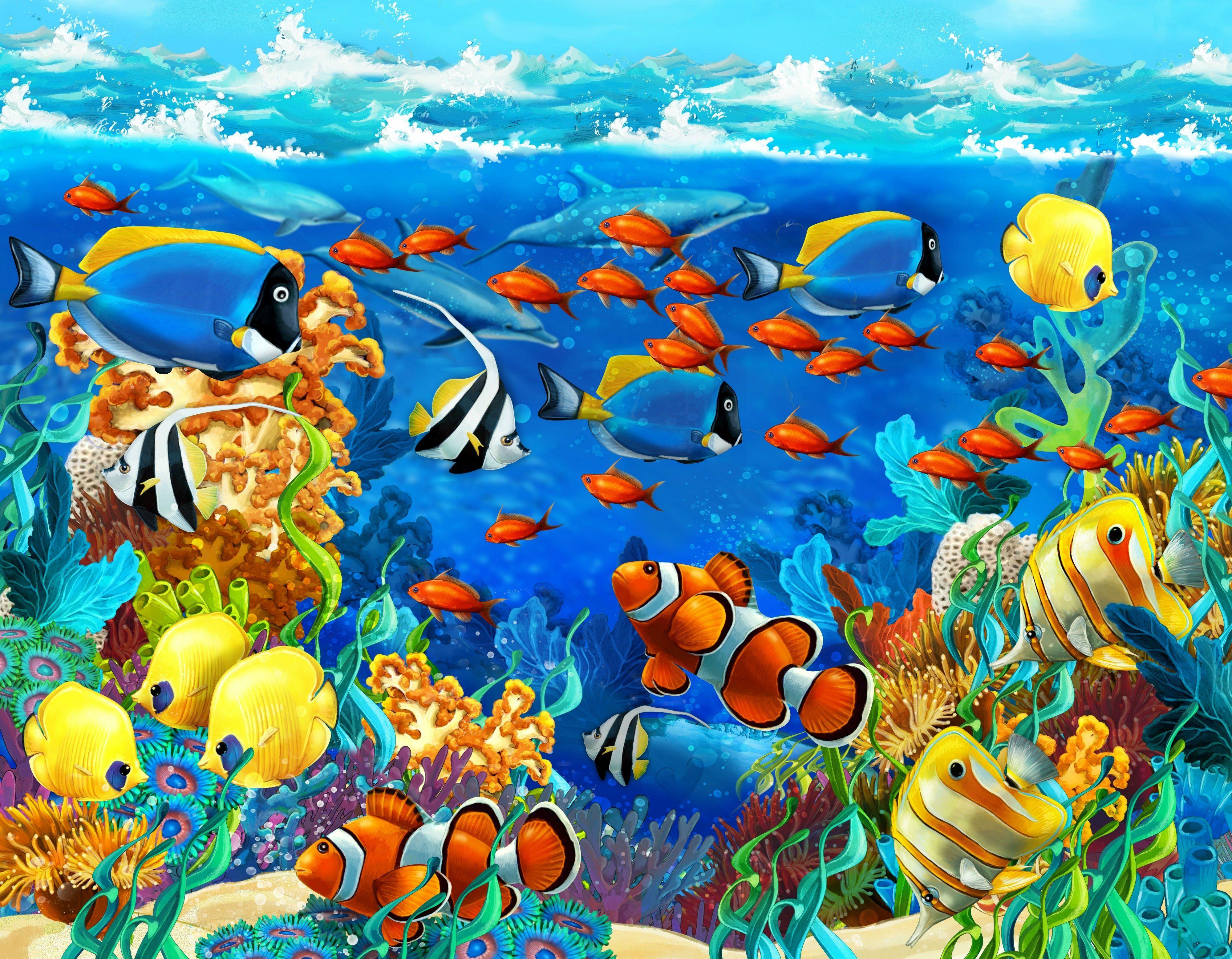 Ocean Animals Wallpapers Top Free Ocean Animals Backgrounds