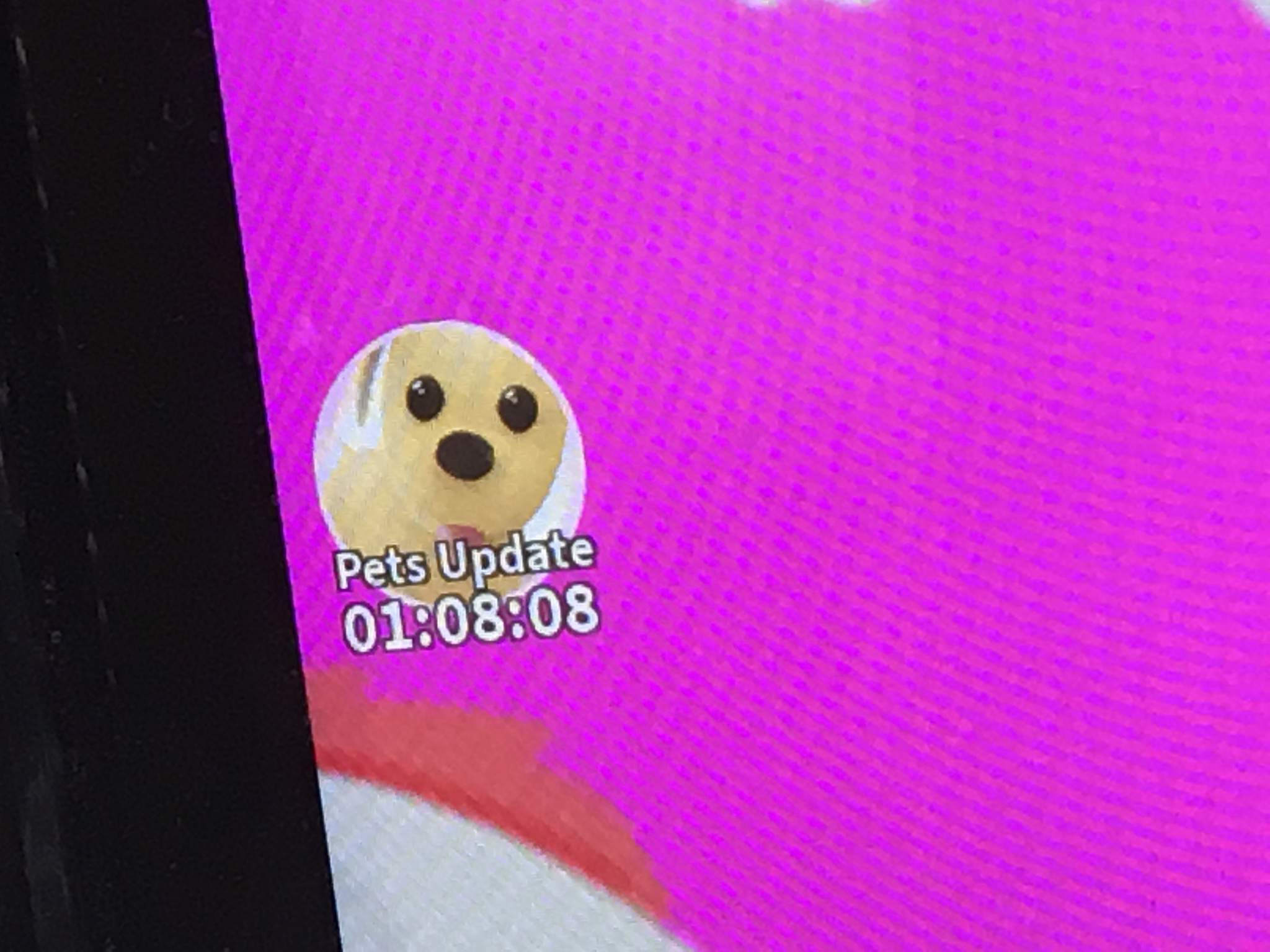 Adopt Me Pets Wallpapers Top Free Adopt Me Pets Backgrounds