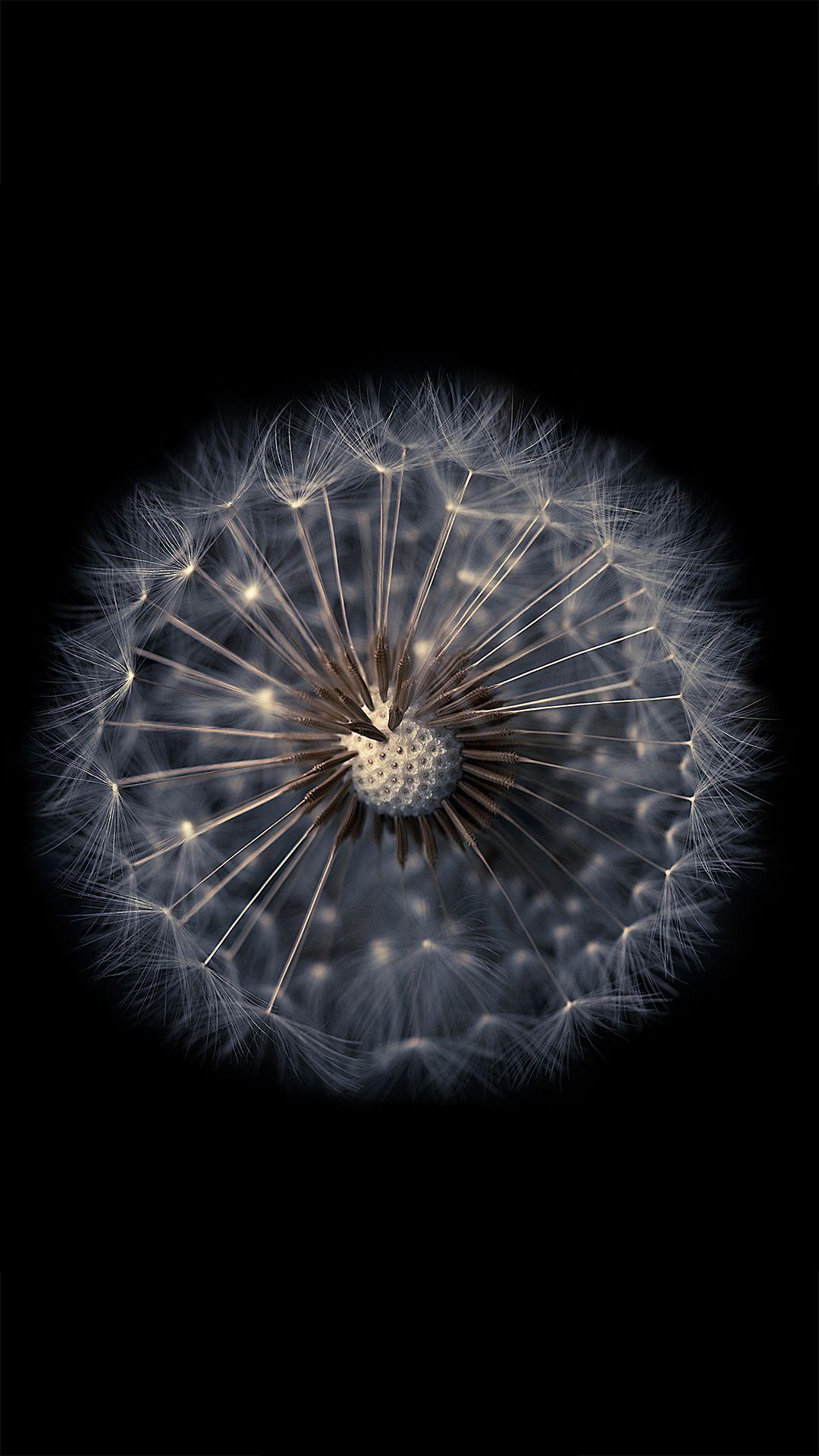 ZTE Wallpapers Top Free ZTE Backgrounds WallpaperAccess