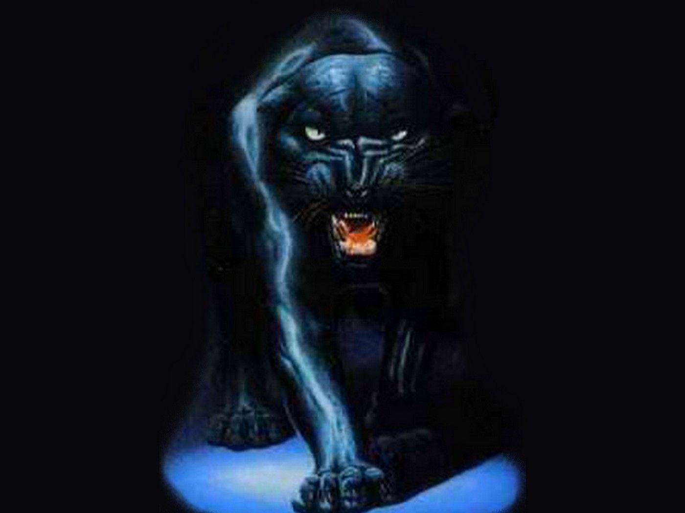 Black Jaguar Wallpapers Top Free Black Jaguar Backgrounds