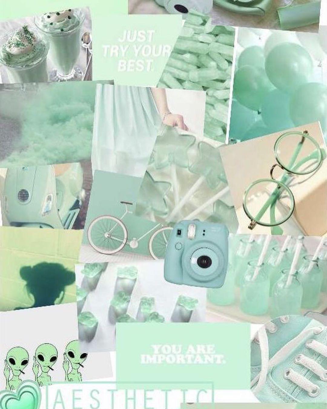 Green VSCO Wallpapers Top Free Green VSCO Backgrounds WallpaperAccess