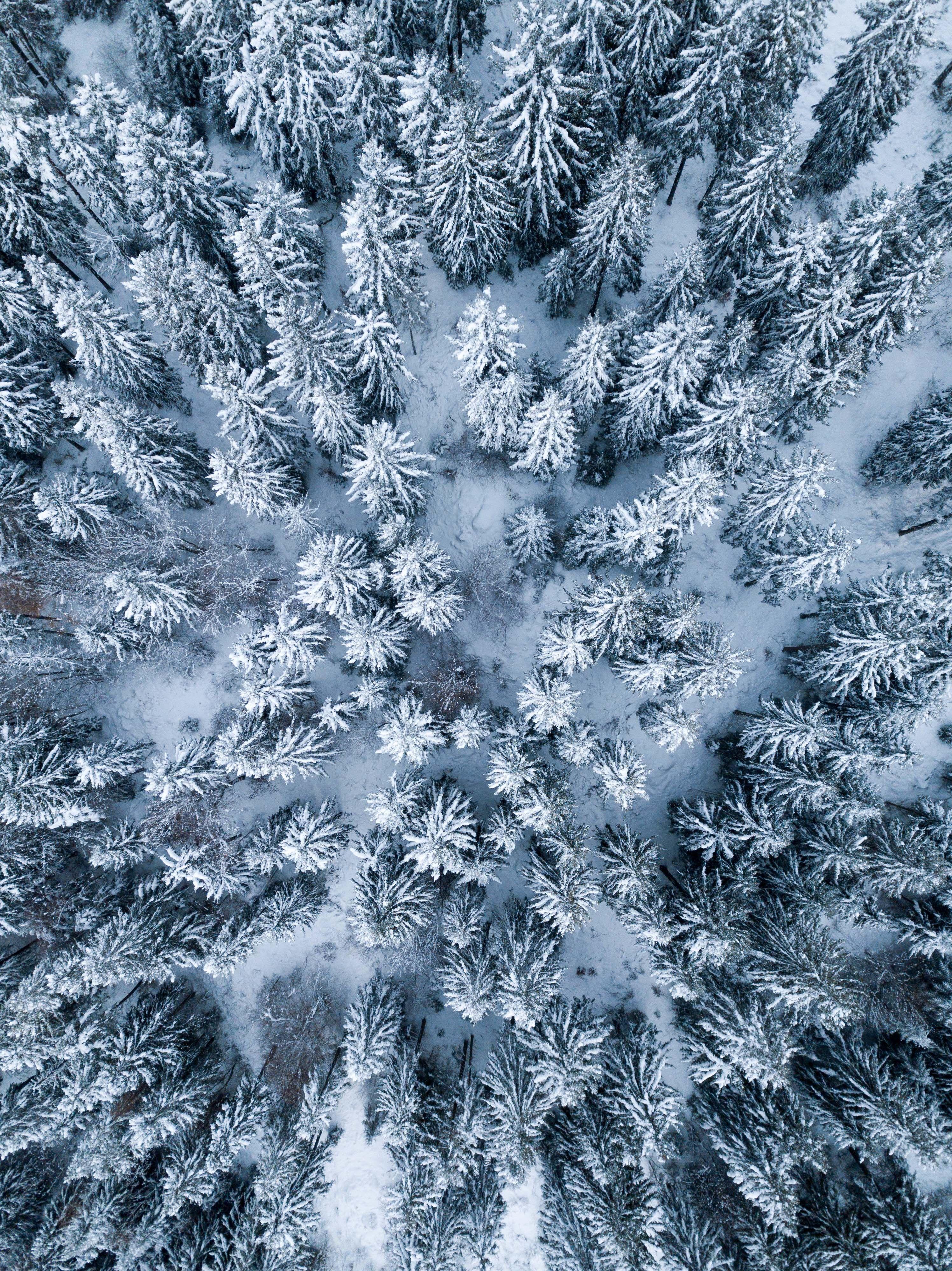 iPad Pro 10.5 Wallpapers Top Free iPad Pro 10.5 Backgrounds WallpaperAccess