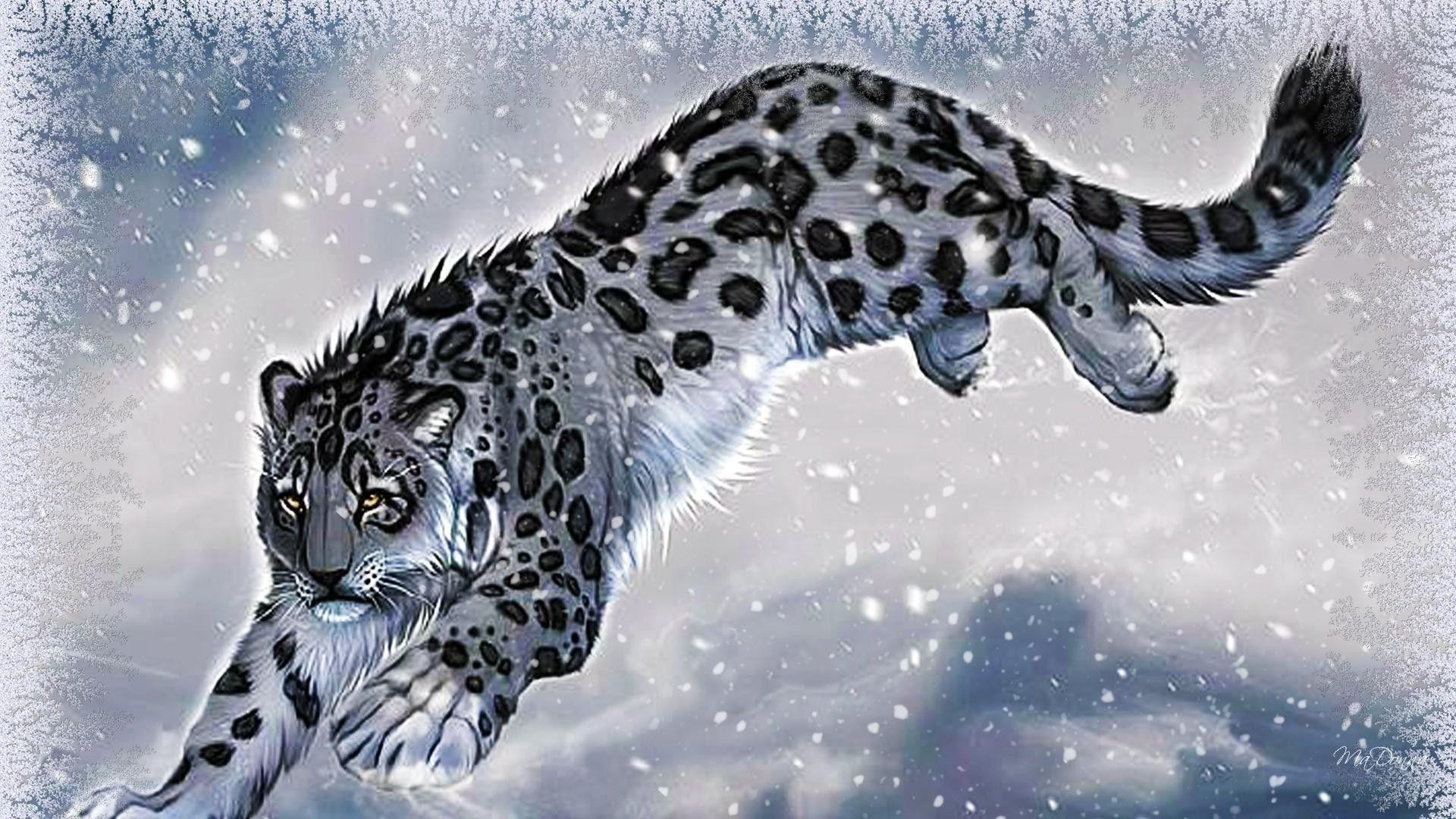 Cool Snow Leopard Wallpapers Top Free Cool Snow Leopard Backgrounds