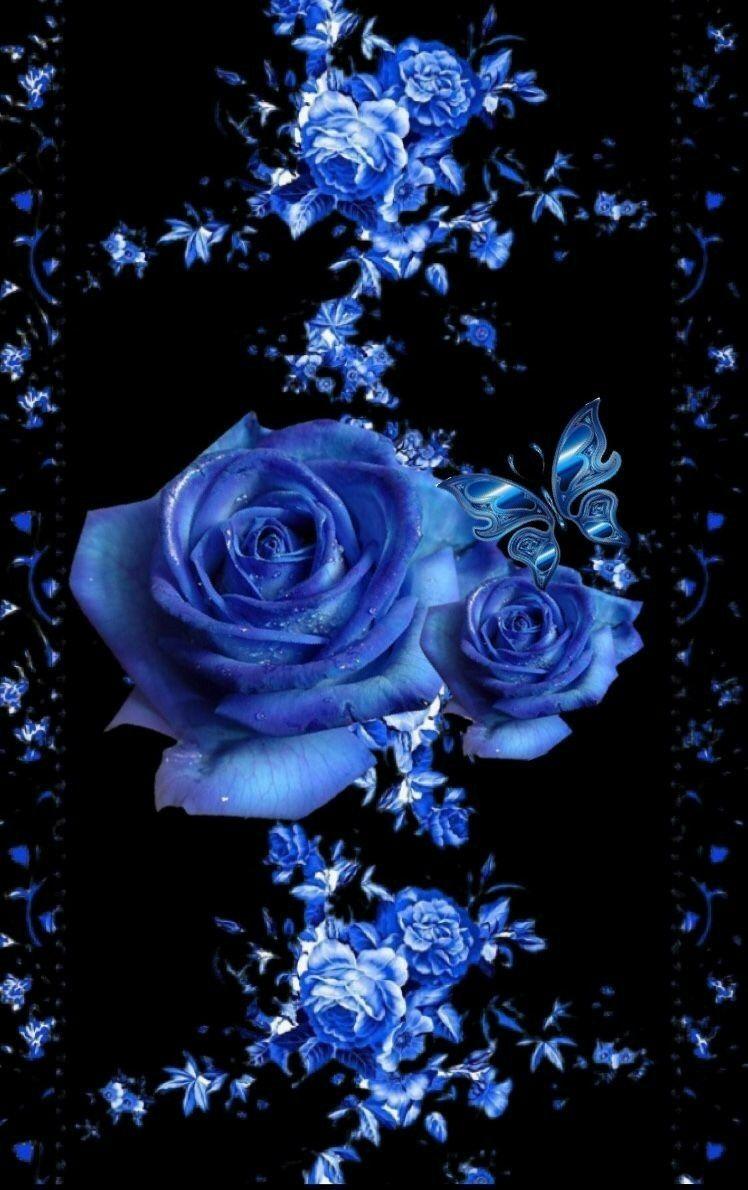 Blue Rose Aesthetic Wallpapers Top Free Blue Rose Aesthetic Backgrounds WallpaperAccess