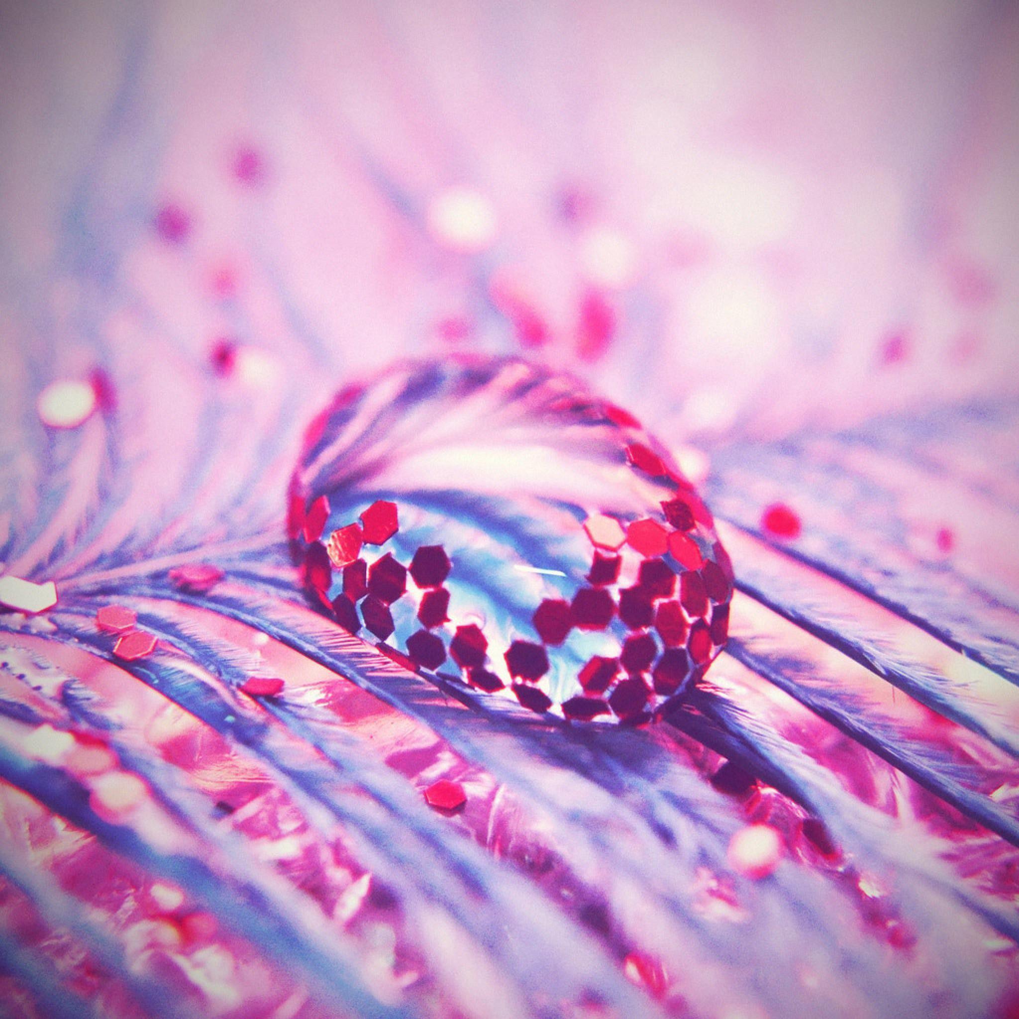 Cute 3D Flowers Wallpapers Top Free Cute 3D Flowers Backgrounds