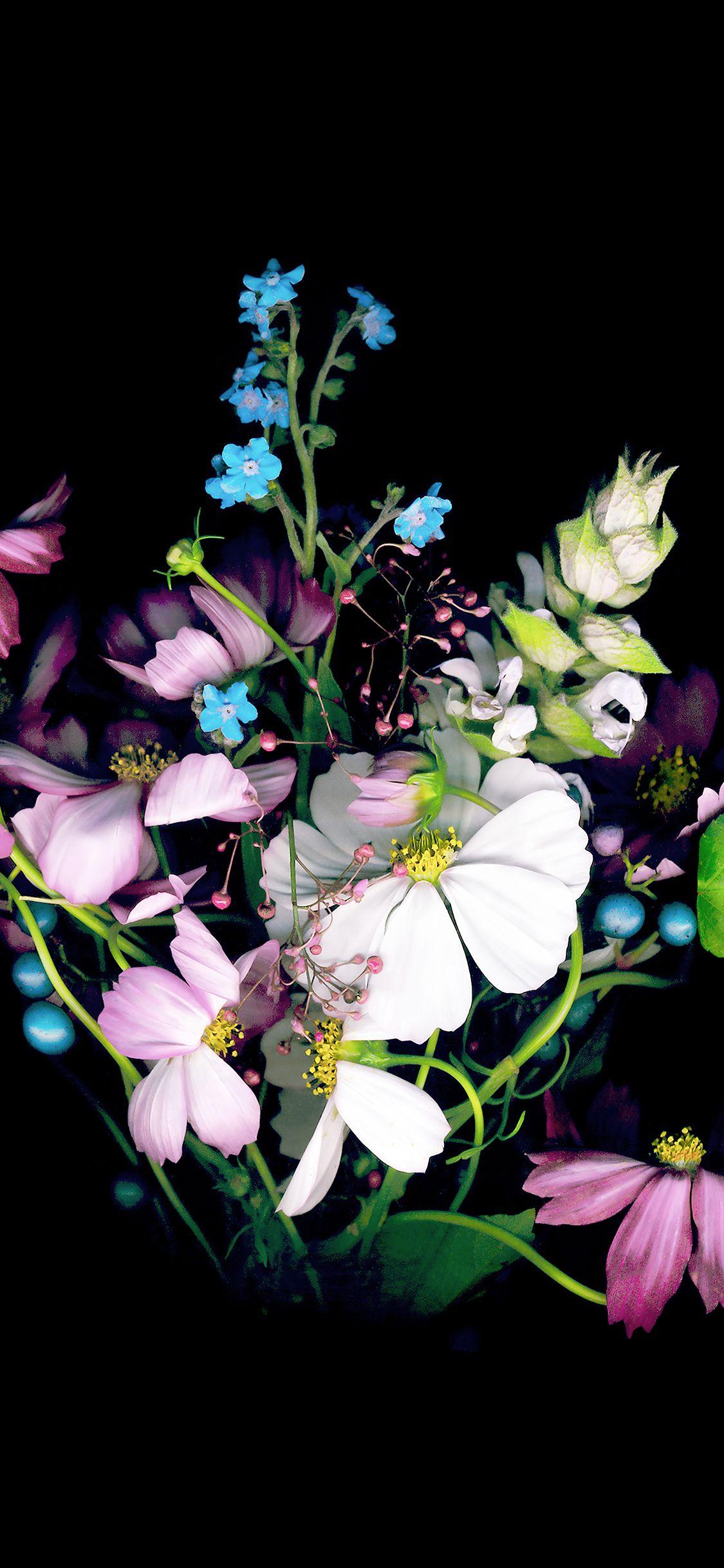 Dark Flower iPhone Wallpapers Top Free Dark Flower iPhone Backgrounds