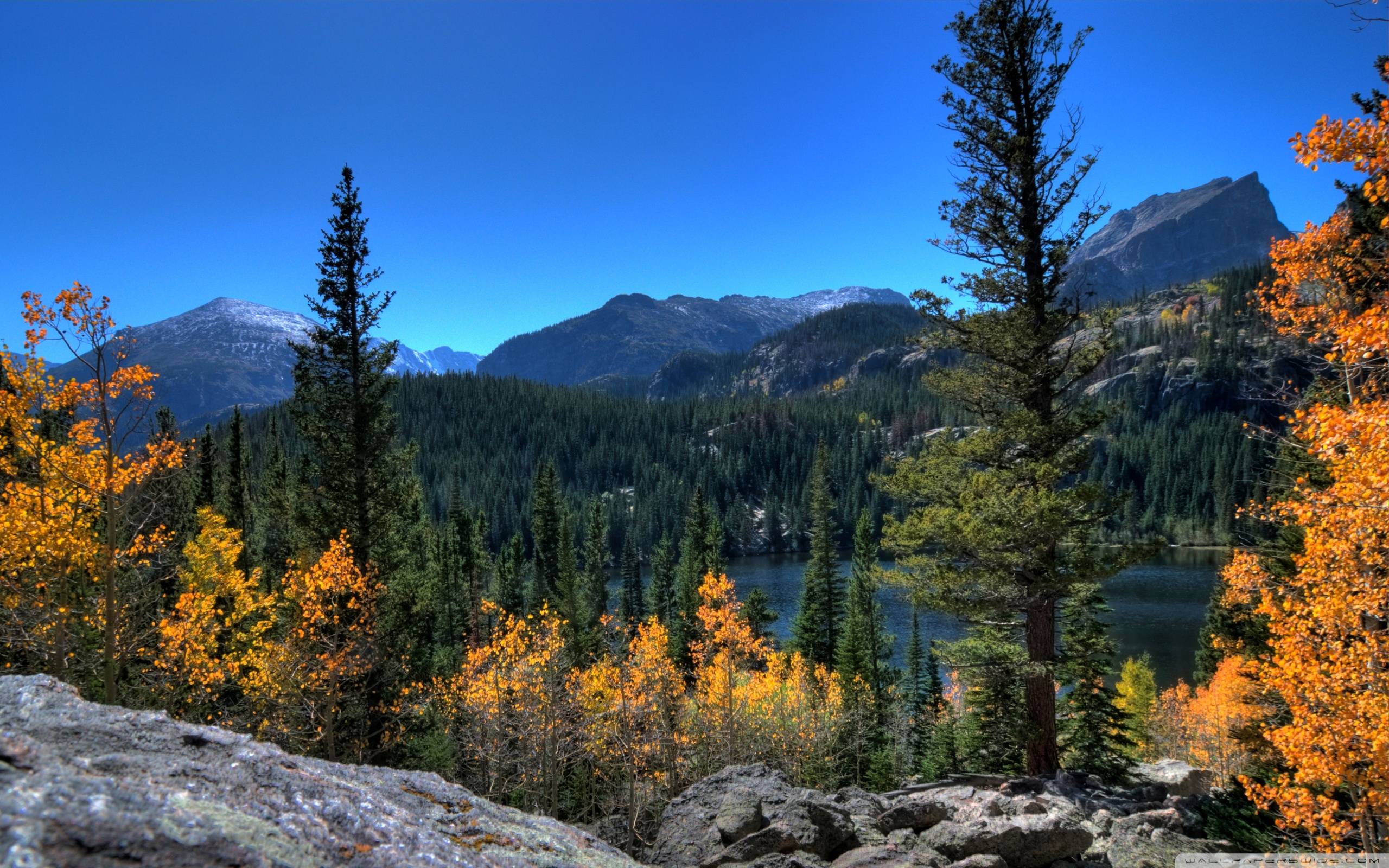 Rocky Mountain Fall Wallpapers Top Free Rocky Mountain Fall