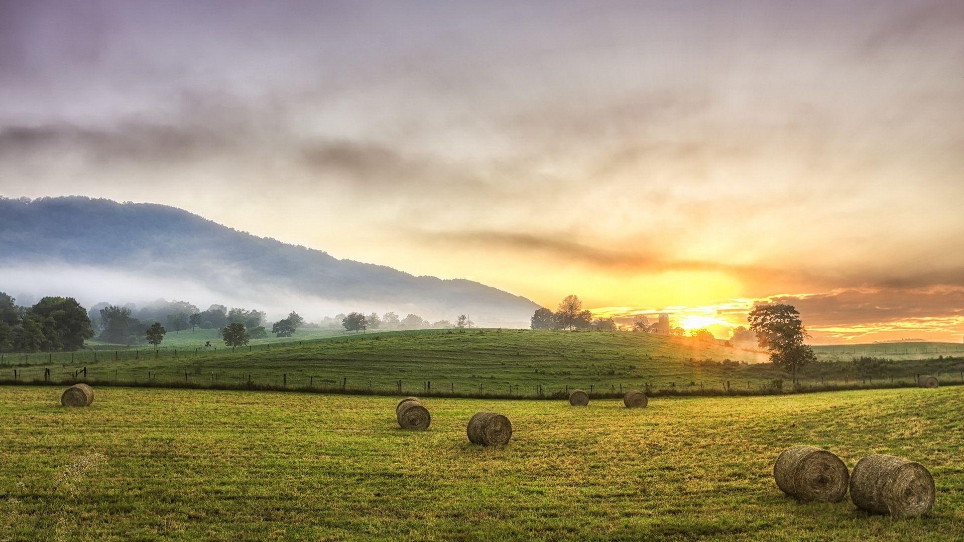 Green Pastures Wallpapers Top Free Green Pastures Backgrounds