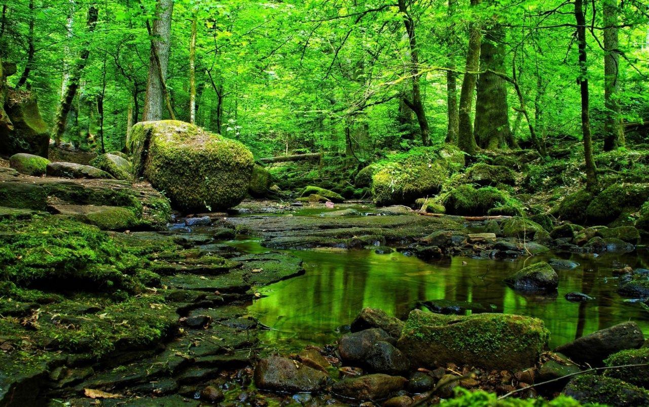 Green Water Wallpapers Top Free Green Water Backgrounds WallpaperAccess