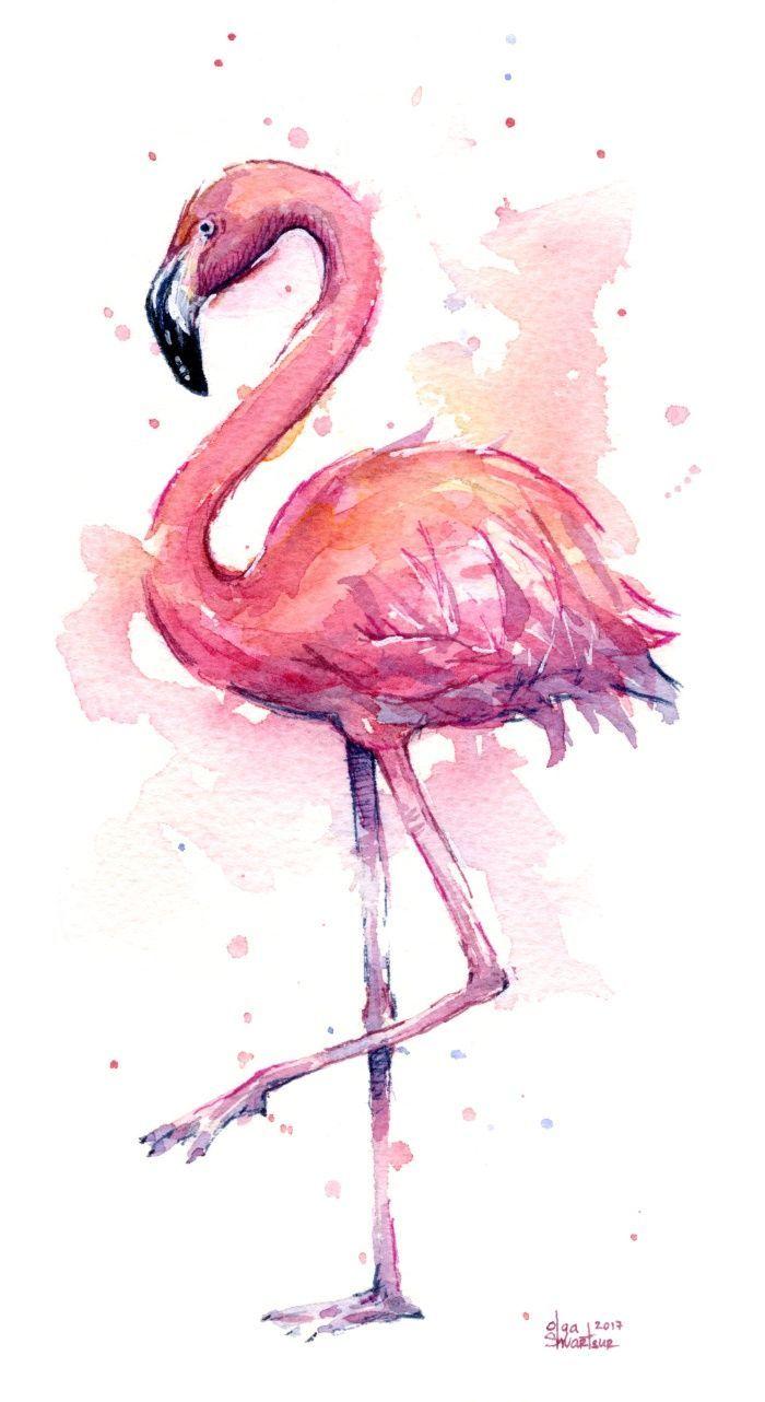 Cute Flamingo Wallpapers Top Free Cute Flamingo Backgrounds