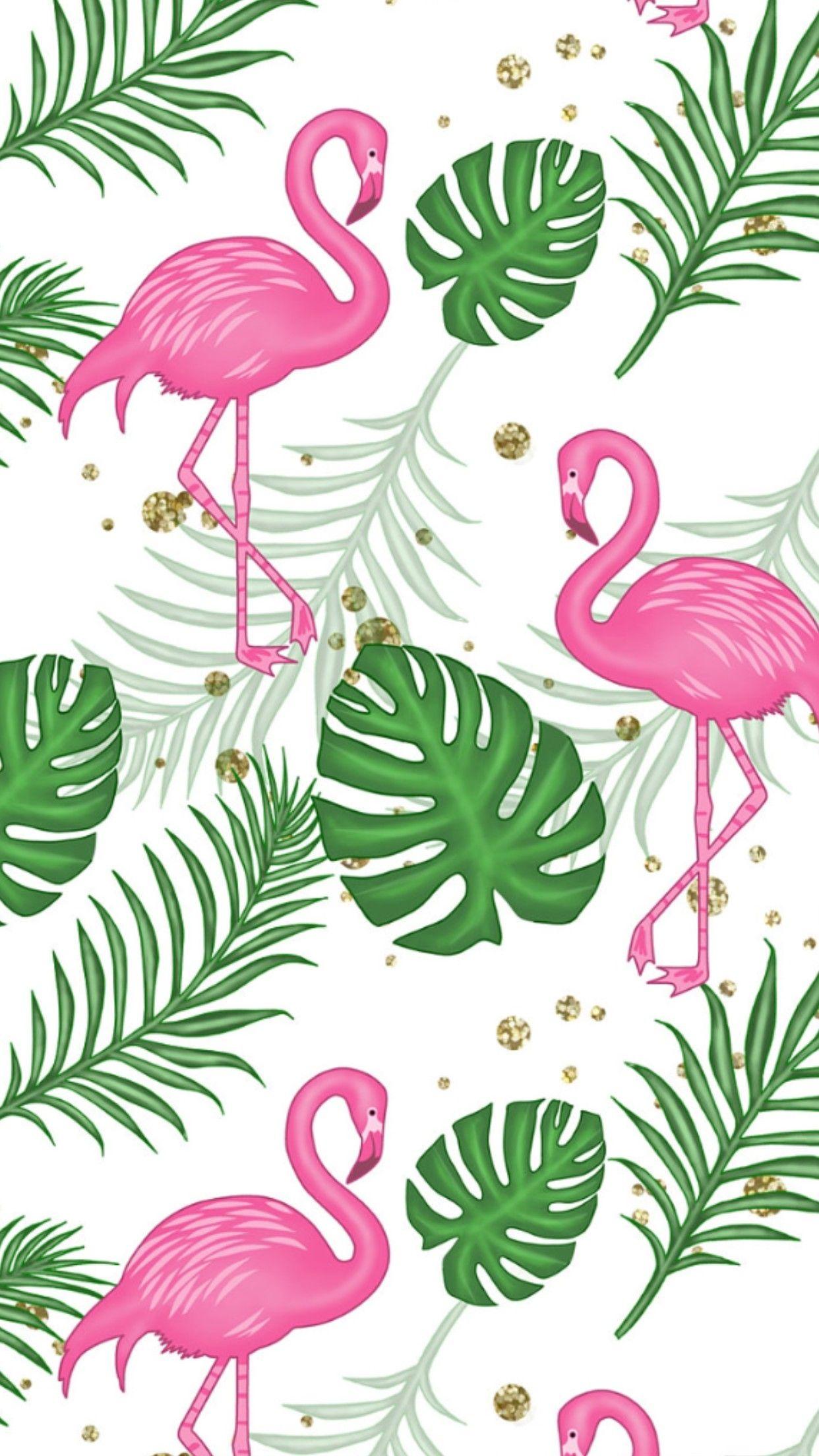 Cute Flamingo Wallpapers Top Free Cute Flamingo Backgrounds