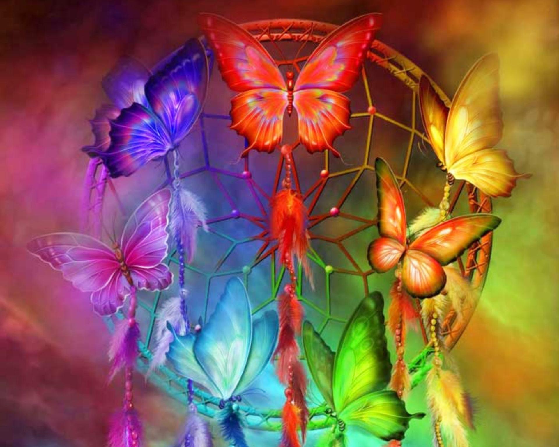 Rainbow Butterfly Wallpapers Top Free Rainbow Butterfly Backgrounds