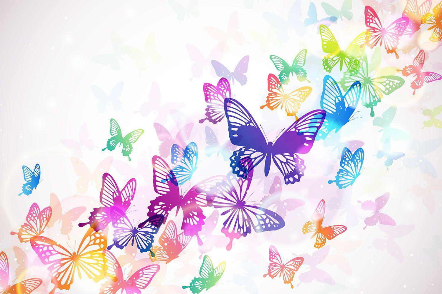 Rainbow Butterfly Wallpapers Top Free Rainbow Butterfly Backgrounds