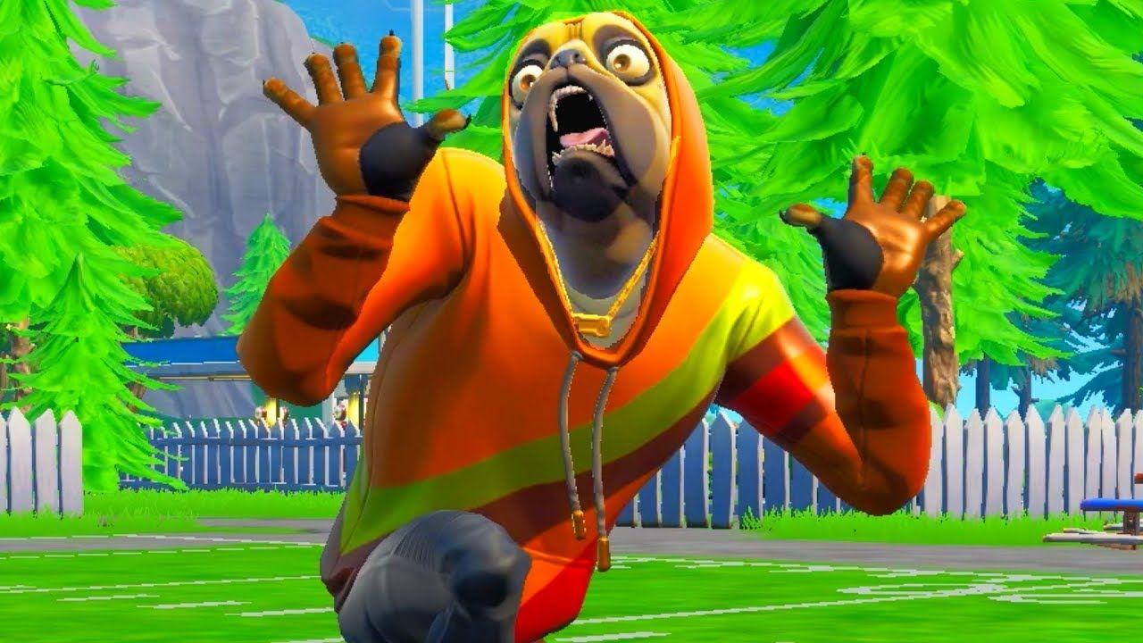 Fortnite Doggo Skin Wallpapers Top Free Fortnite Doggo Skin