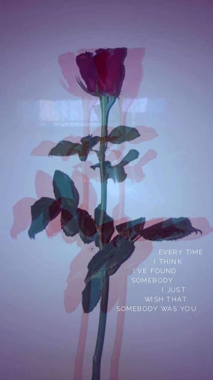 Lock Screen Aesthetic Wallpapers Top Free Lock Screen Aesthetic