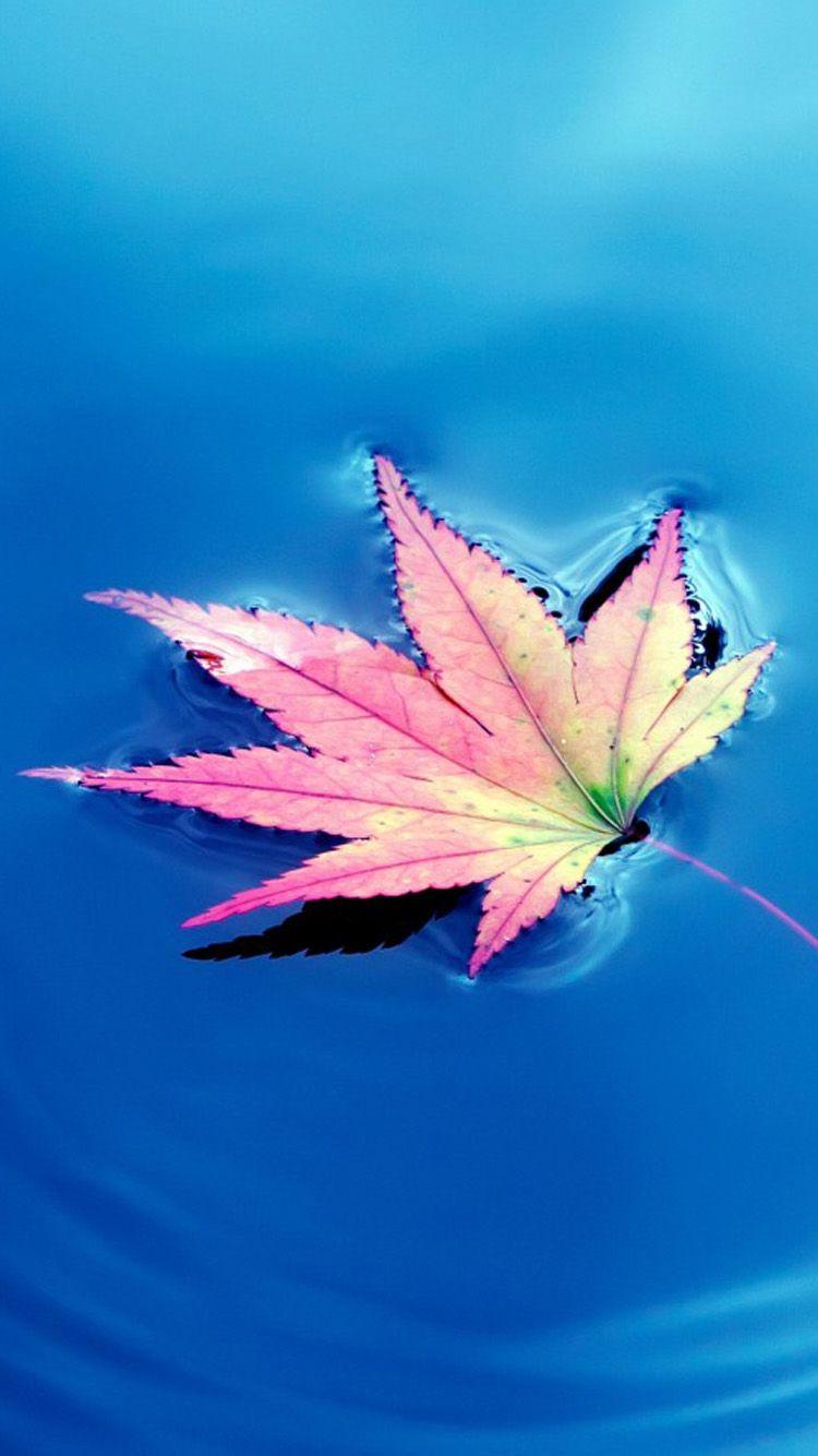 Small Phone Wallpapers Top Free Small Phone Backgrounds WallpaperAccess