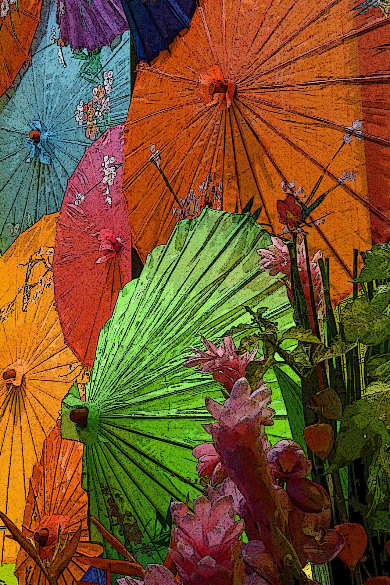 Japanese Umbrella Wallpapers Top Free Japanese Umbrella Backgrounds