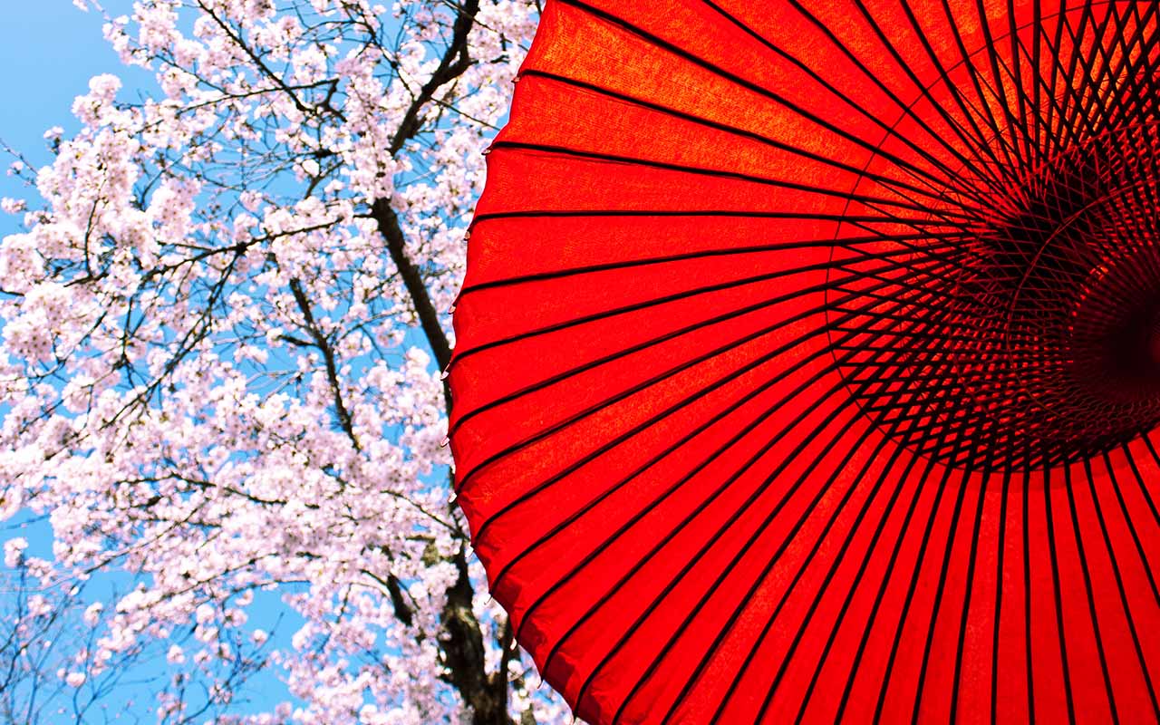 Japanese Umbrella Wallpapers Top Free Japanese Umbrella Backgrounds