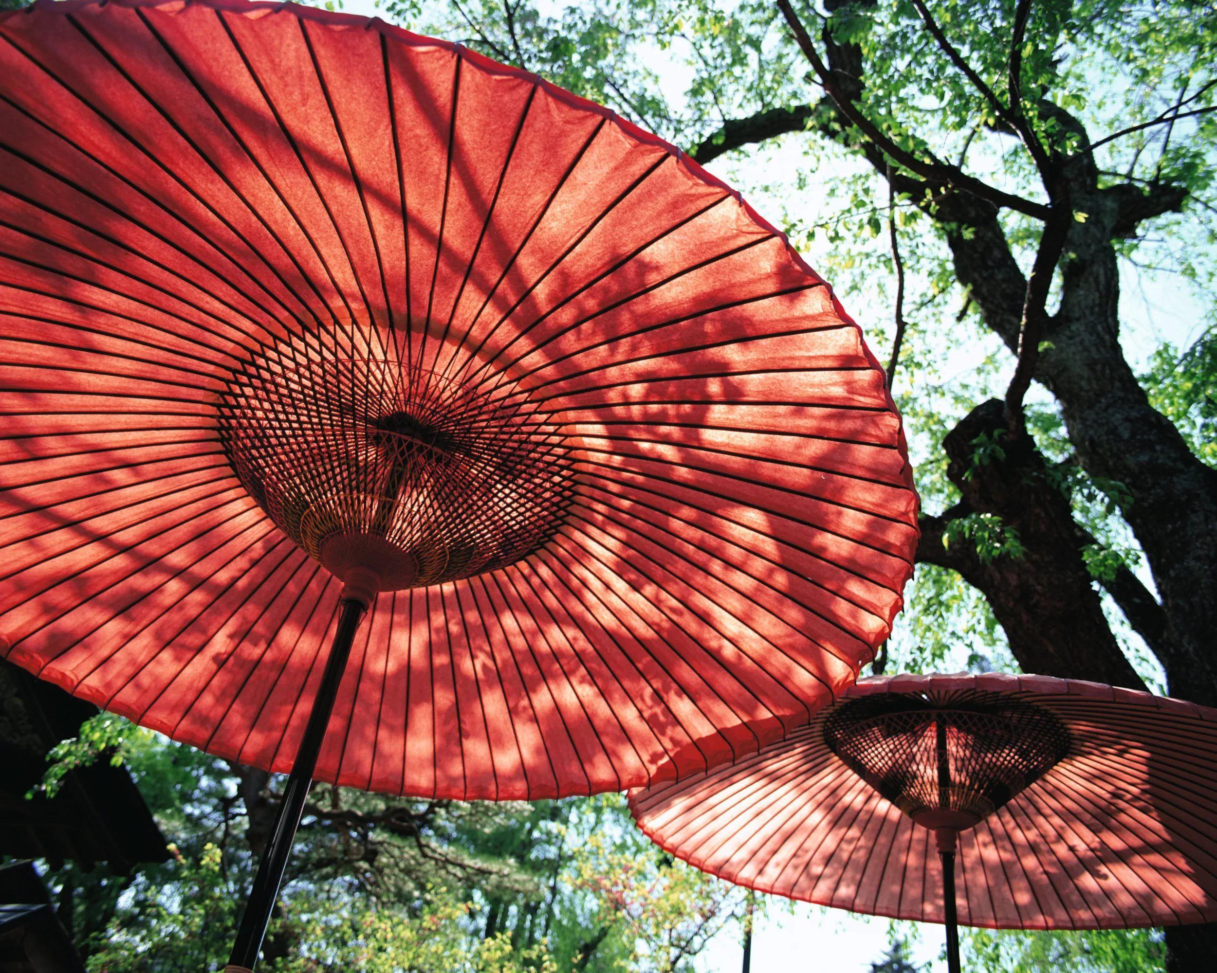 Japanese Umbrella Wallpapers Top Free Japanese Umbrella Backgrounds