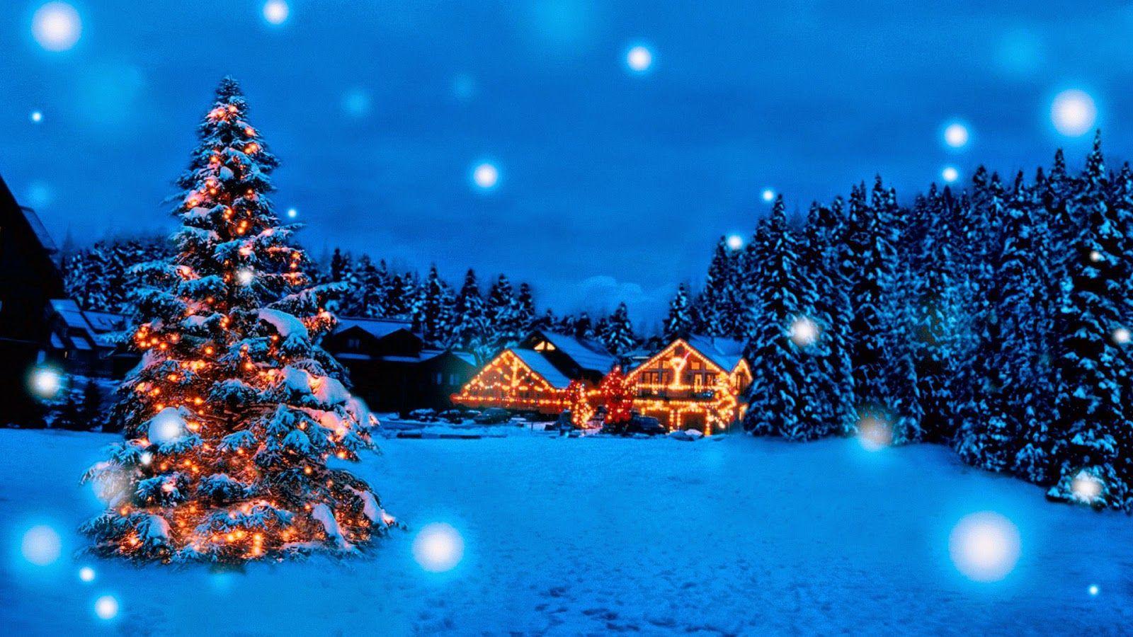 Australian Christmas Wallpapers Top Free Australian Christmas