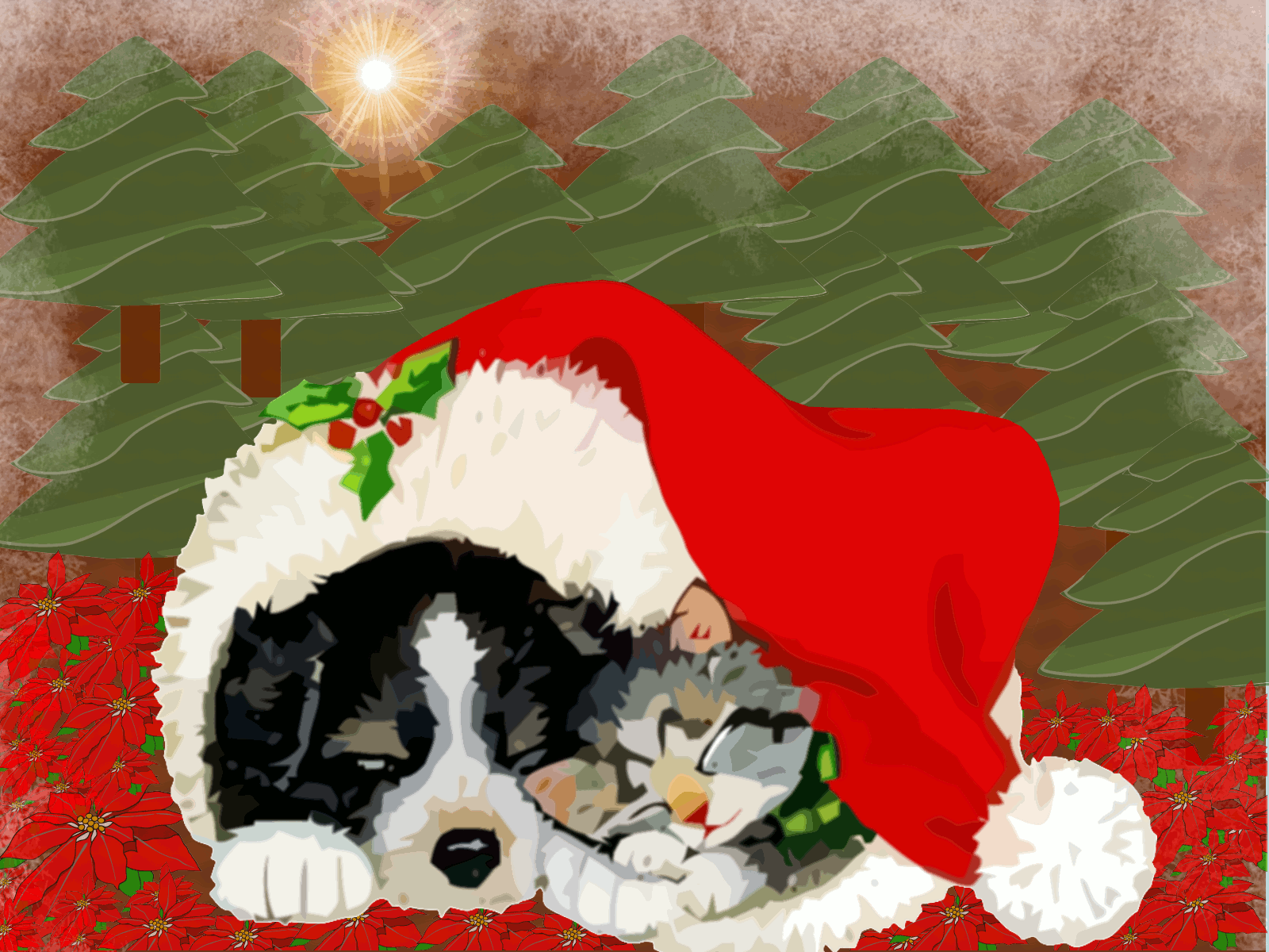 Australian Christmas Wallpapers Top Free Australian Christmas