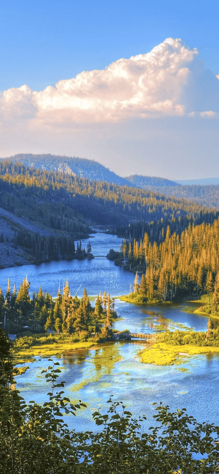 iPhone 11 Nature Wallpapers Top Free iPhone 11 Nature Backgrounds