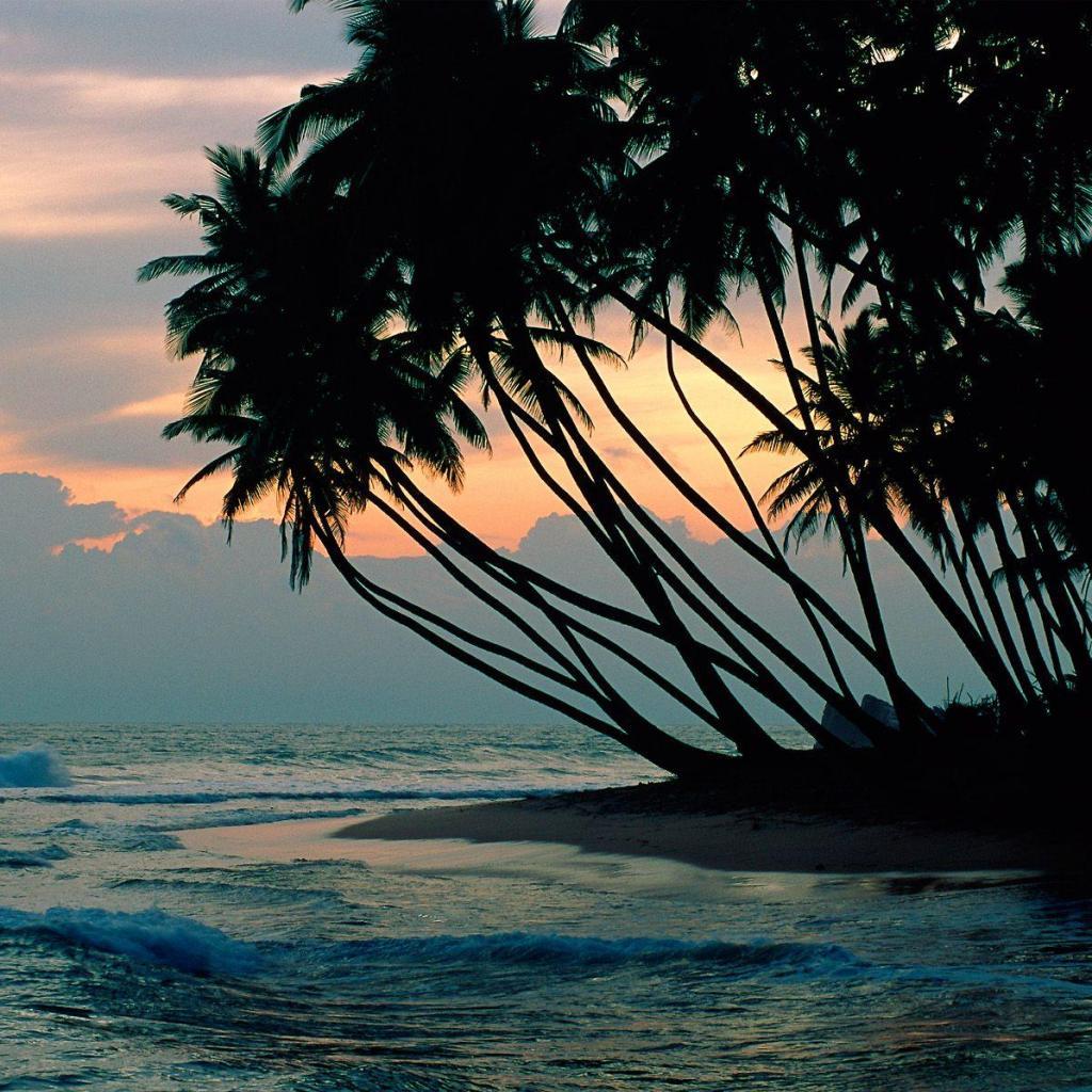 iPad Nature Wallpapers Top Free iPad Nature Backgrounds WallpaperAccess