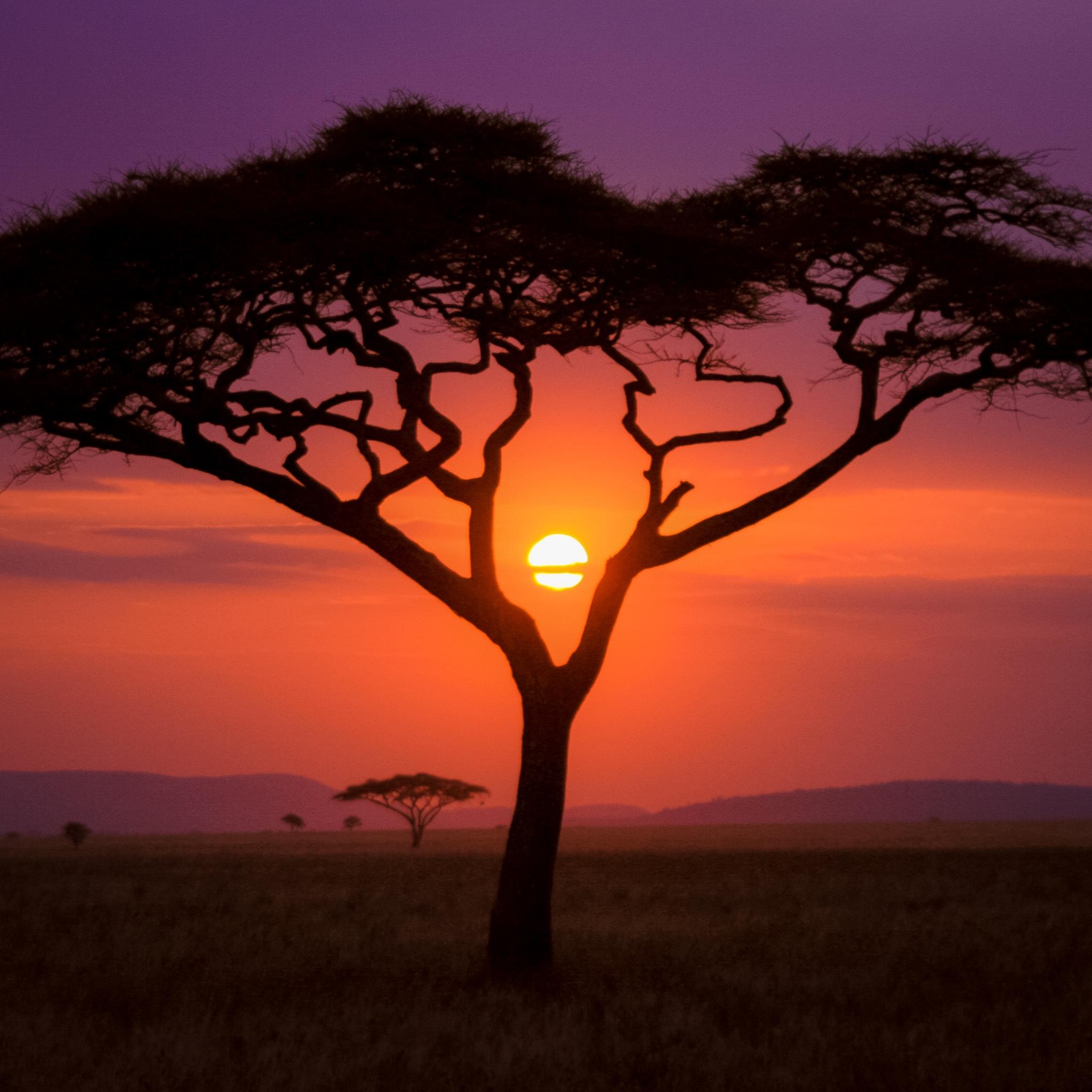 African Sunrise Wallpapers Top Free African Sunrise Backgrounds