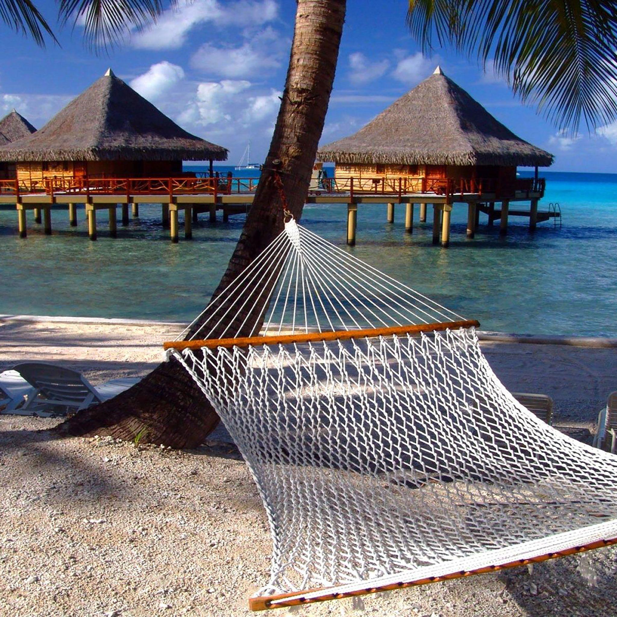 Summer iPad Wallpapers Top Free Summer iPad Backgrounds WallpaperAccess