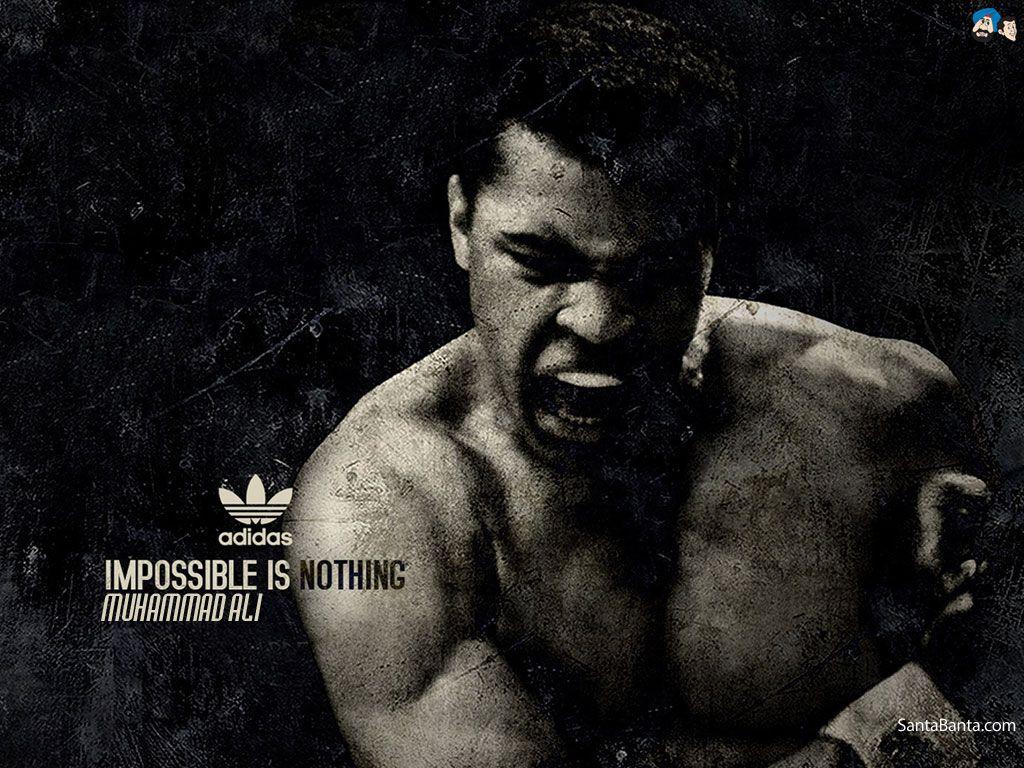 Cool Boxing Wallpapers Top Free Cool Boxing Backgrounds WallpaperAccess