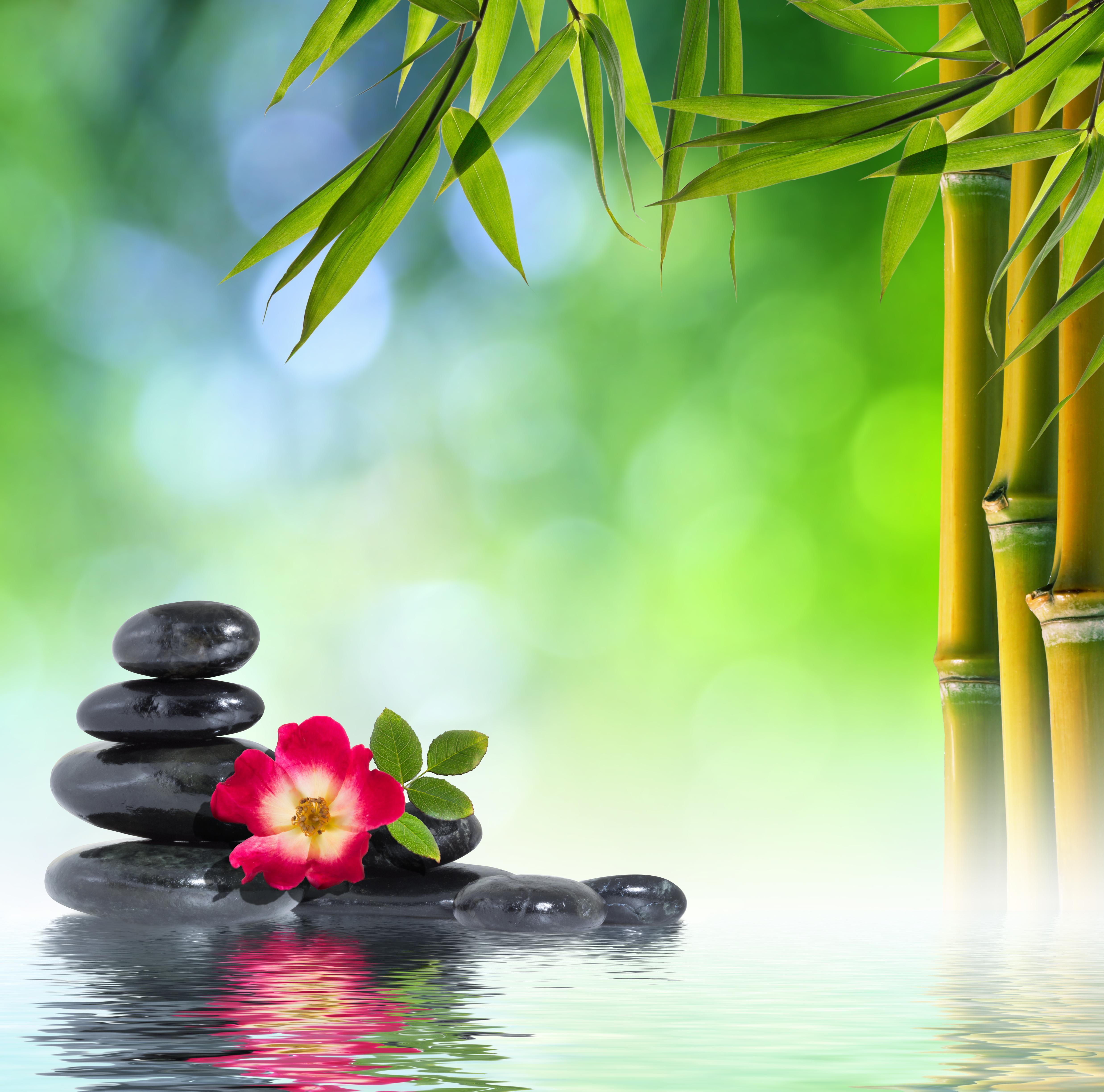 Spa Relaxing Desktop Wallpapers Top Free Spa Relaxing Desktop
