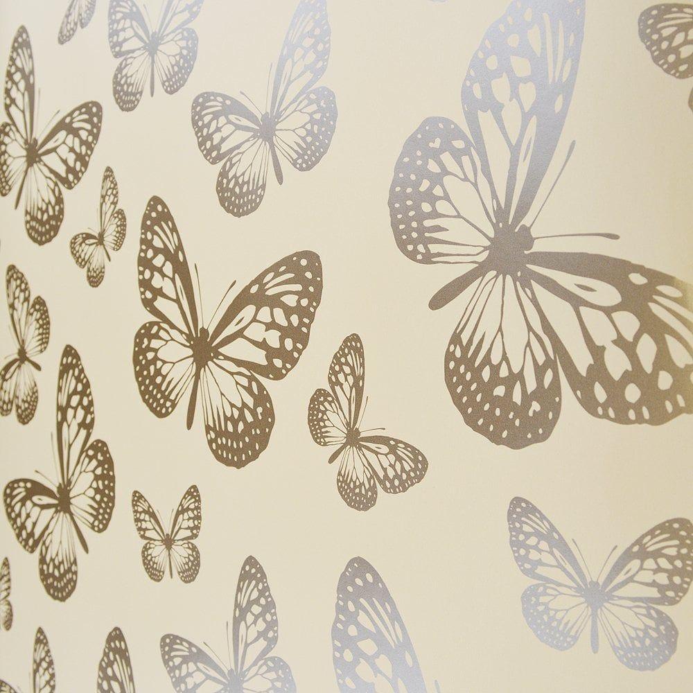 Fringe Butterfly Wallpapers Top Free Fringe Butterfly Backgrounds