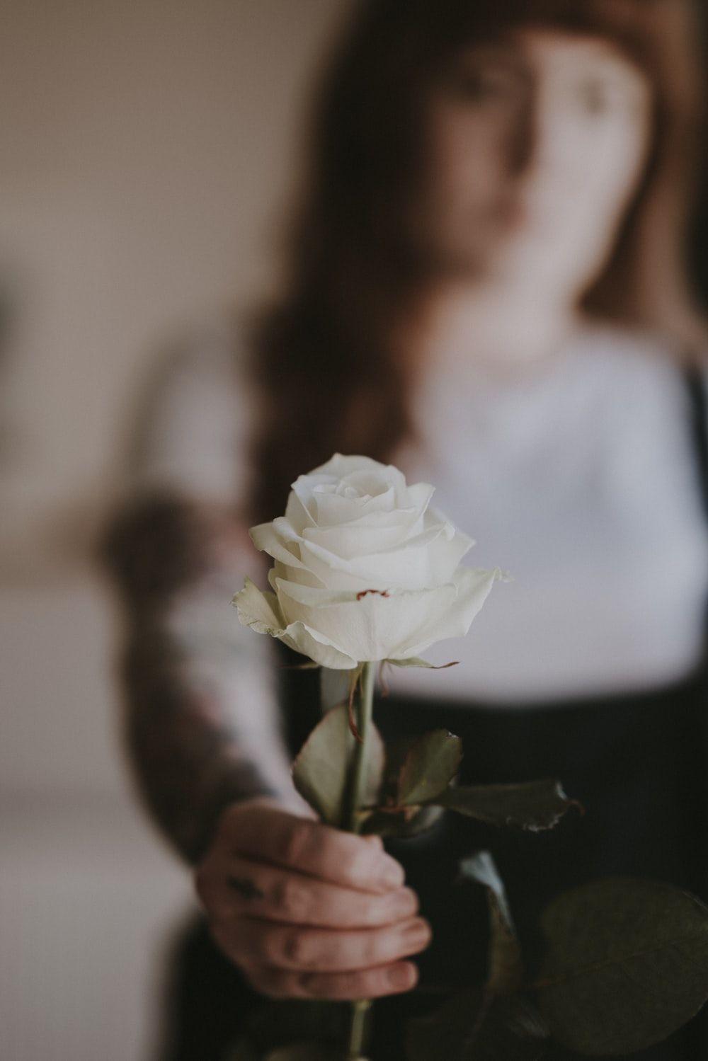 White Rose Aesthetic Wallpapers Top Free White Rose Aesthetic