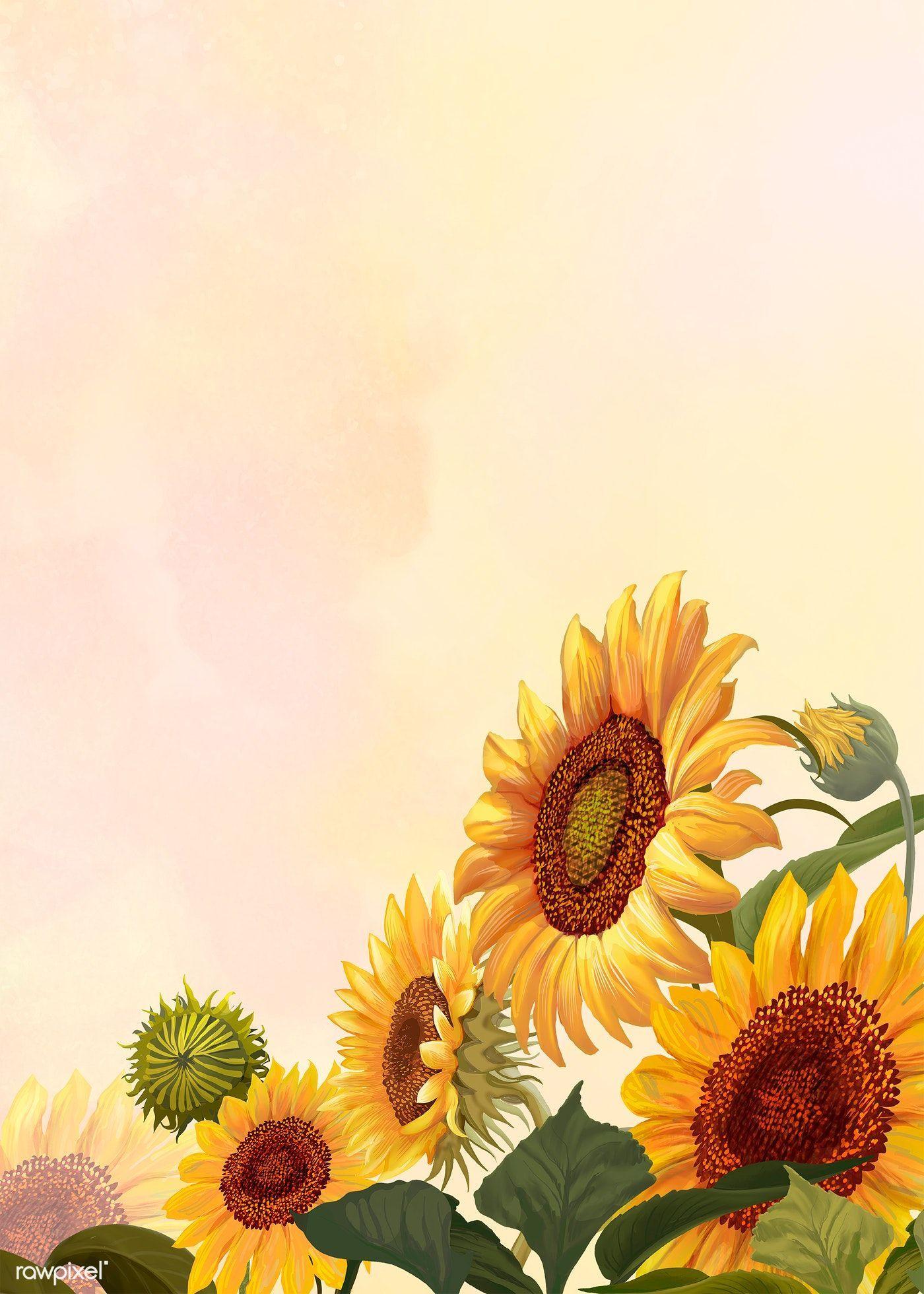 Sunflower Drawing Wallpapers Top Free Sunflower Drawing Backgrounds WallpaperAccess