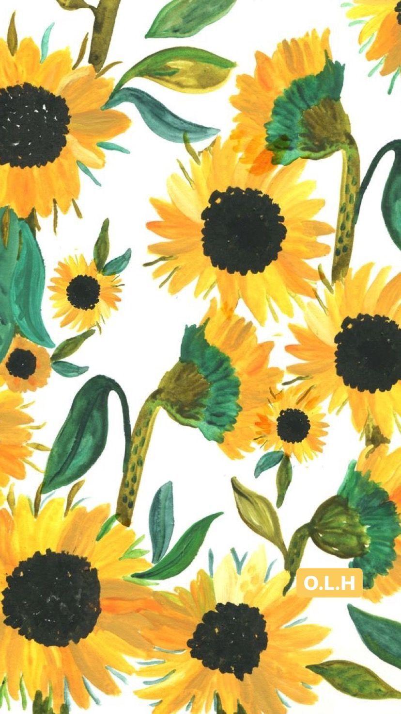 Sunflower Drawing Wallpapers Top Free Sunflower Drawing Backgrounds WallpaperAccess
