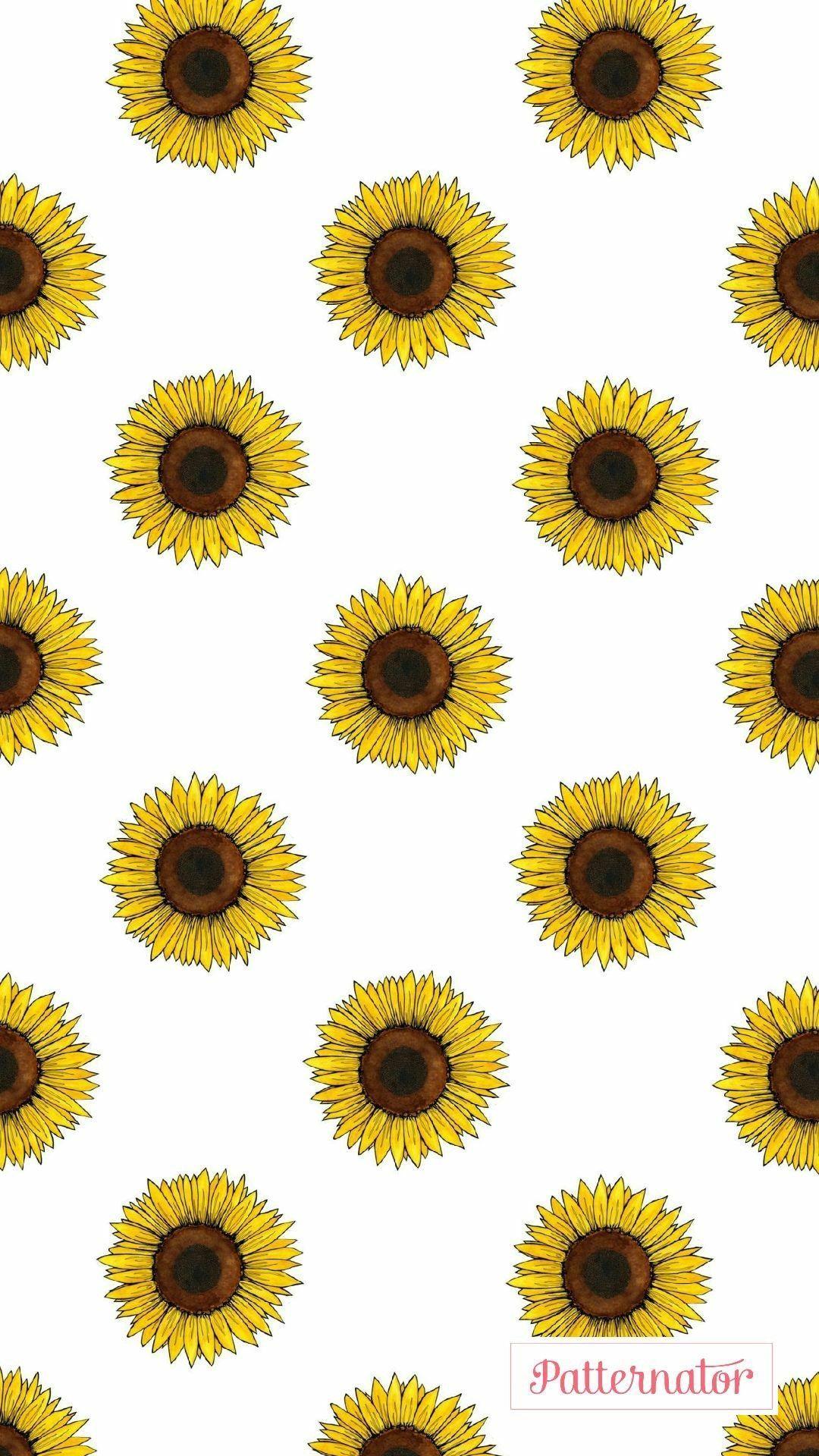 Sunflower Drawing Wallpapers Top Free Sunflower Drawing Backgrounds WallpaperAccess