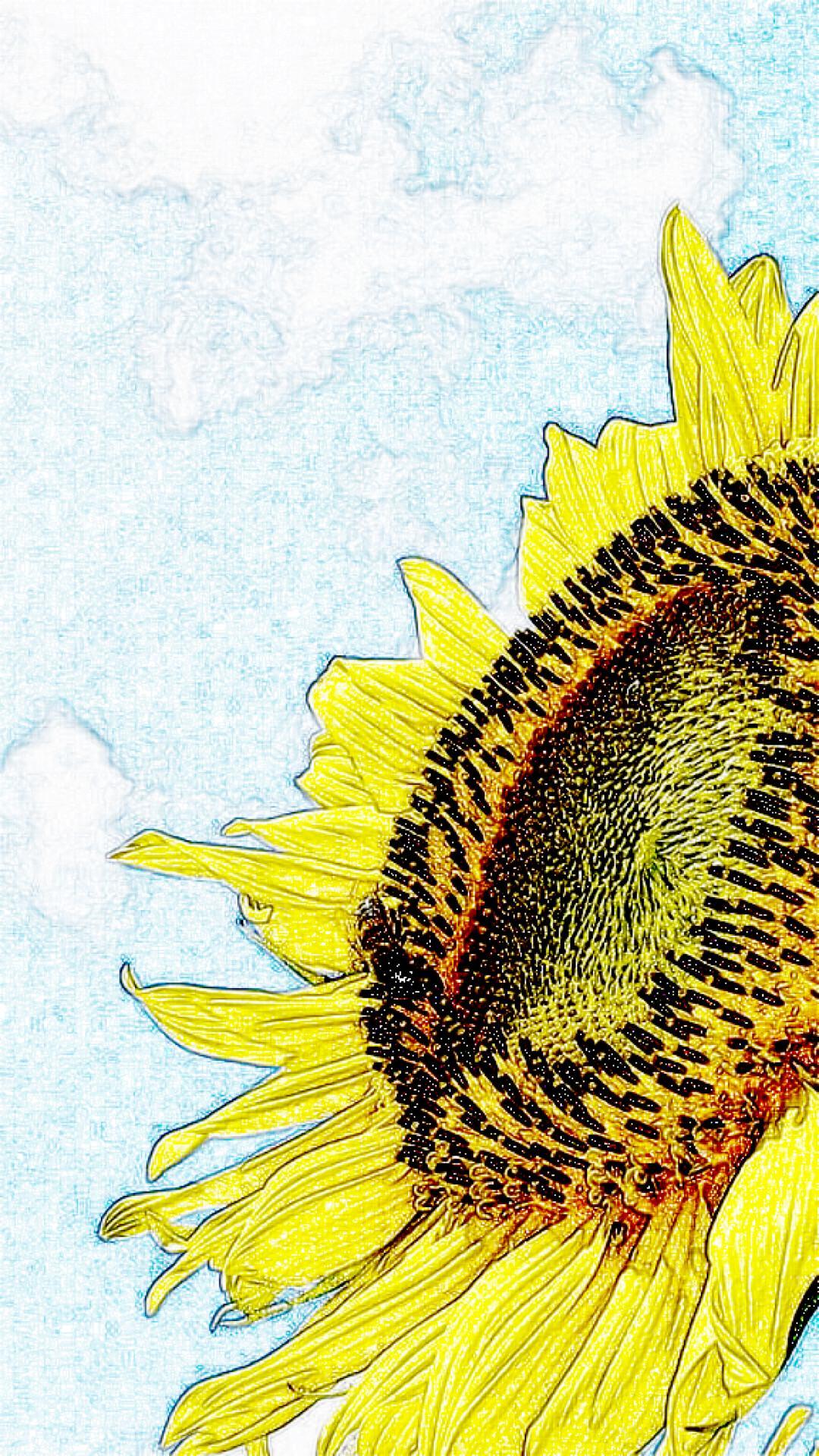 Sunflower Drawing Wallpapers Top Free Sunflower Drawing Backgrounds WallpaperAccess
