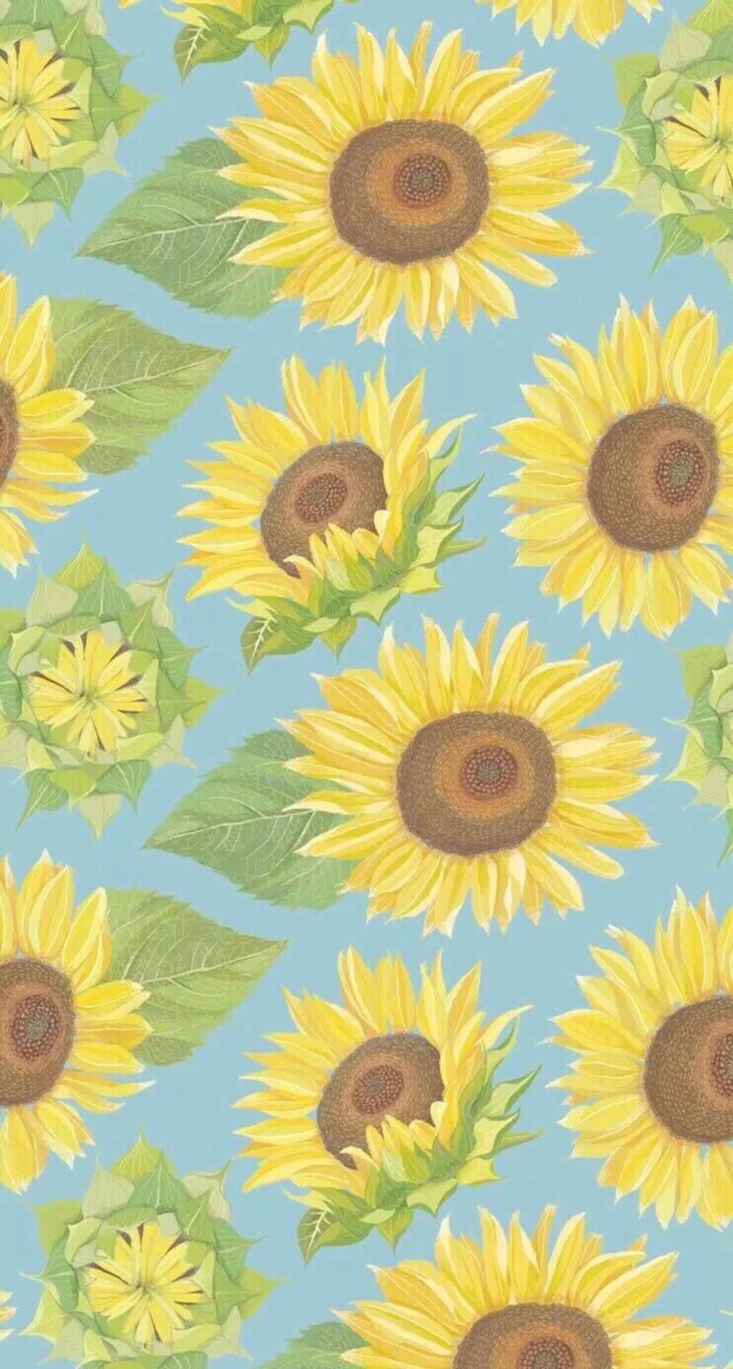 Sunflower Drawing Wallpapers Top Free Sunflower Drawing Backgrounds WallpaperAccess