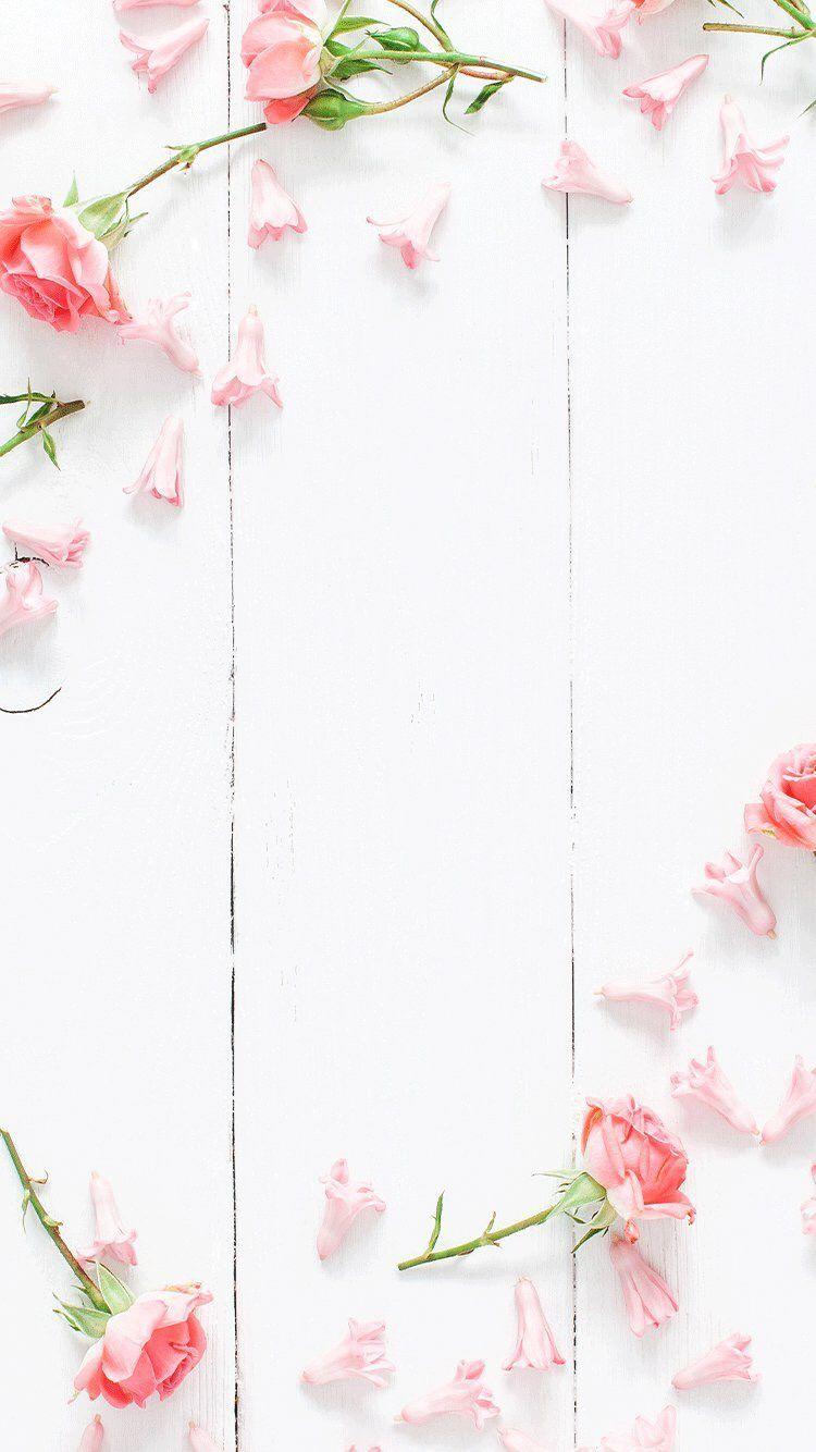 Floral iPad Wallpapers Top Free Floral iPad Backgrounds WallpaperAccess