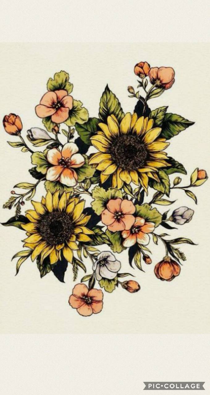 Sunflower Drawing Wallpapers Top Free Sunflower Drawing Backgrounds WallpaperAccess